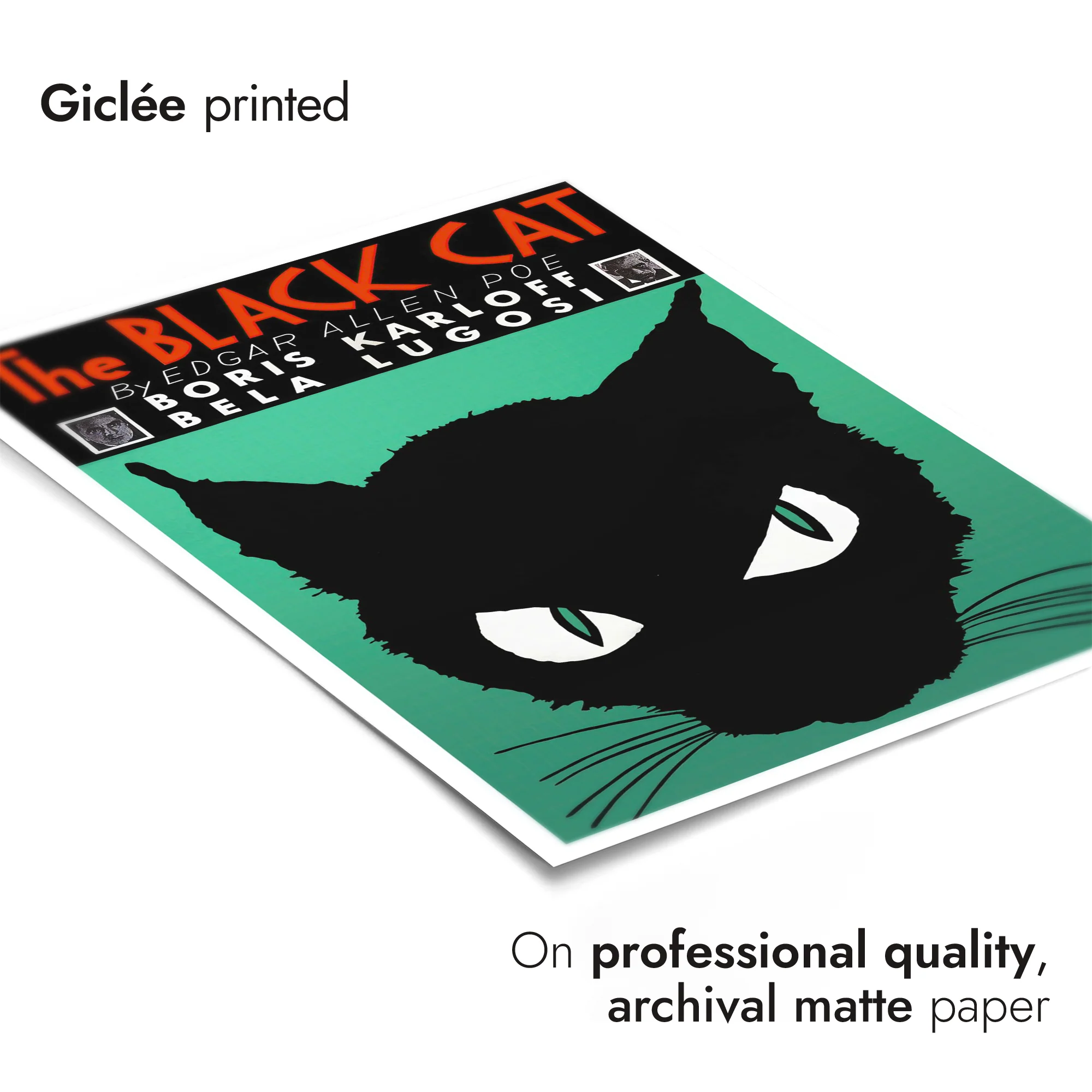 The Black Cat - Image 6