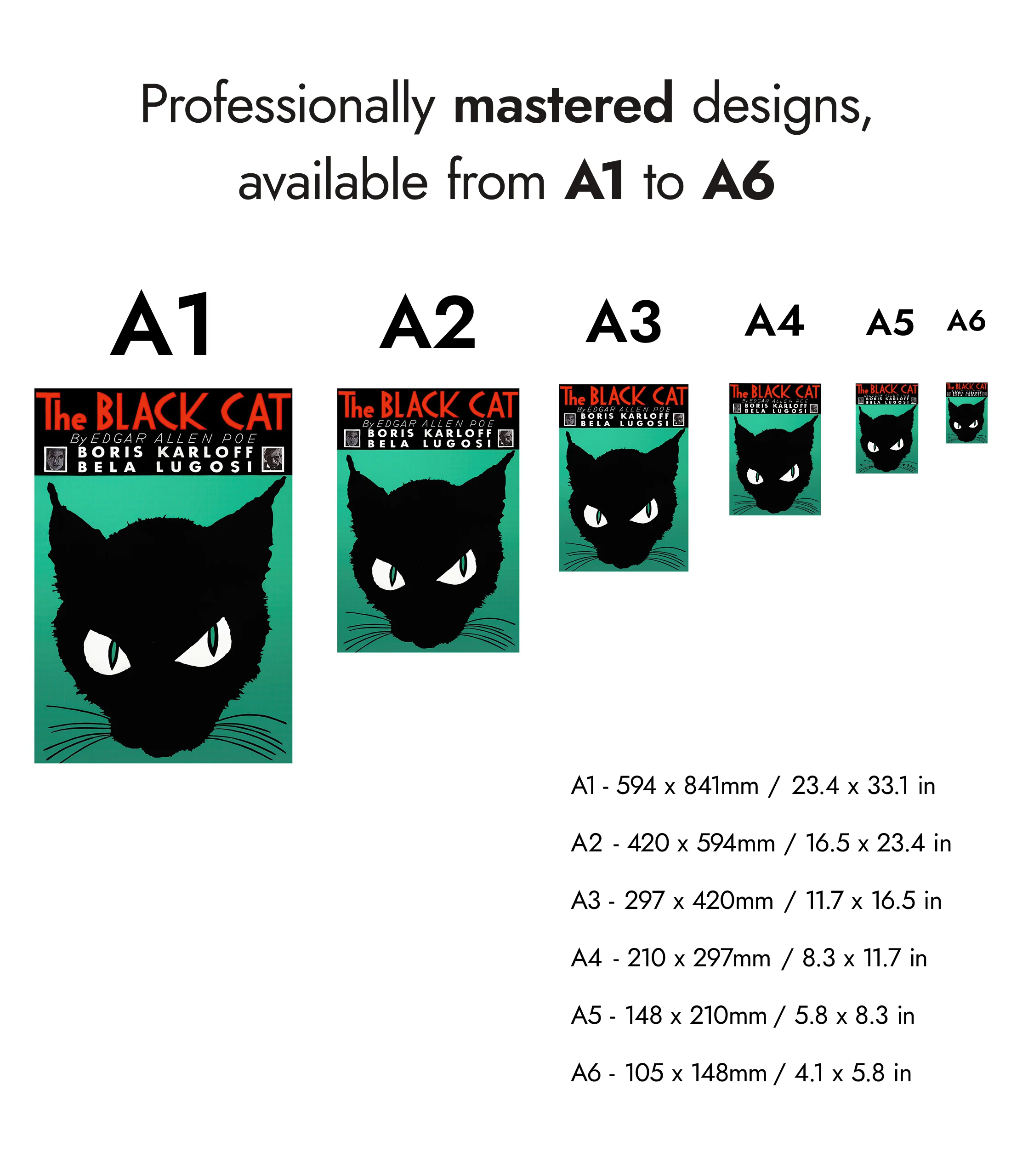 The Black Cat - Image 8