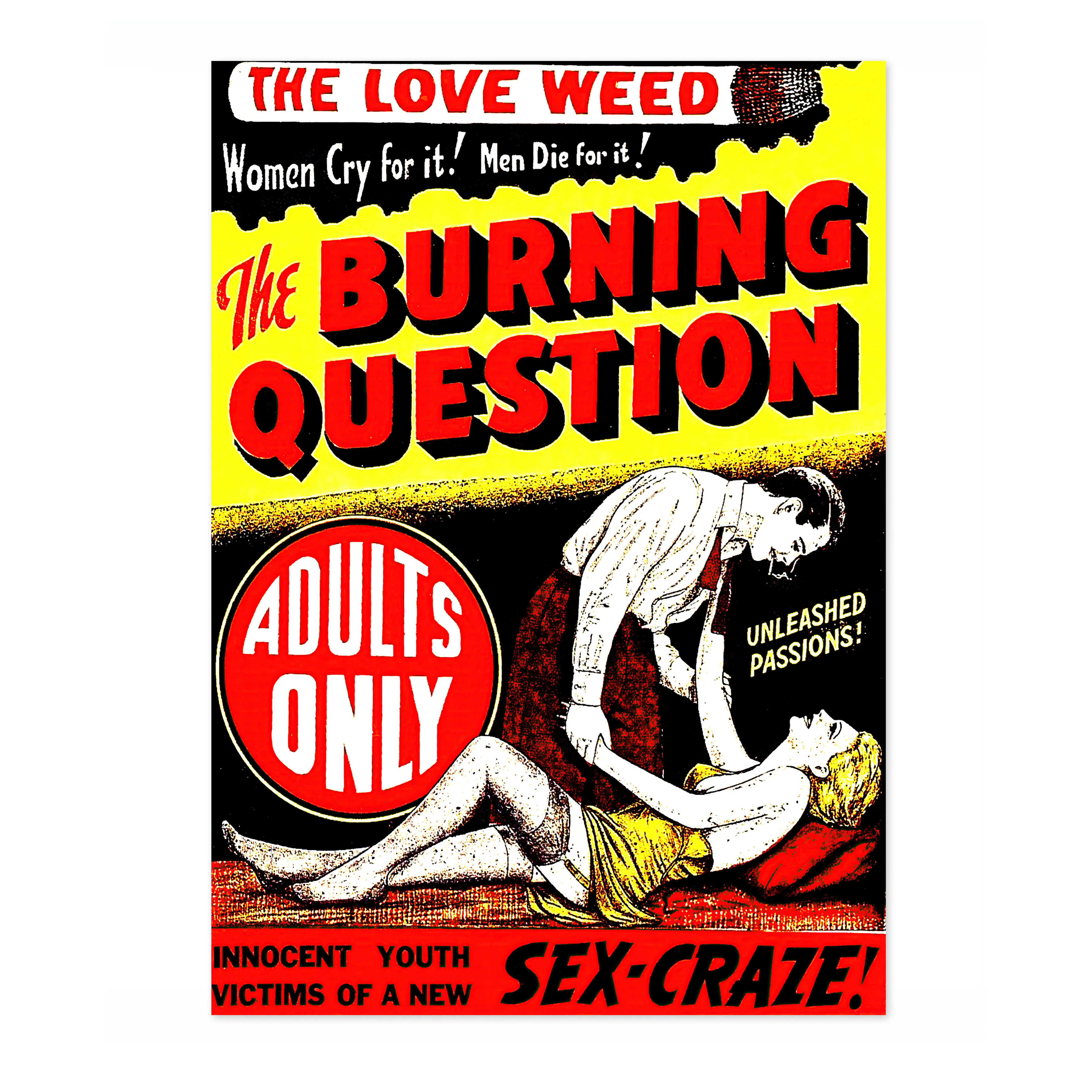 The Burning Question - Image 4