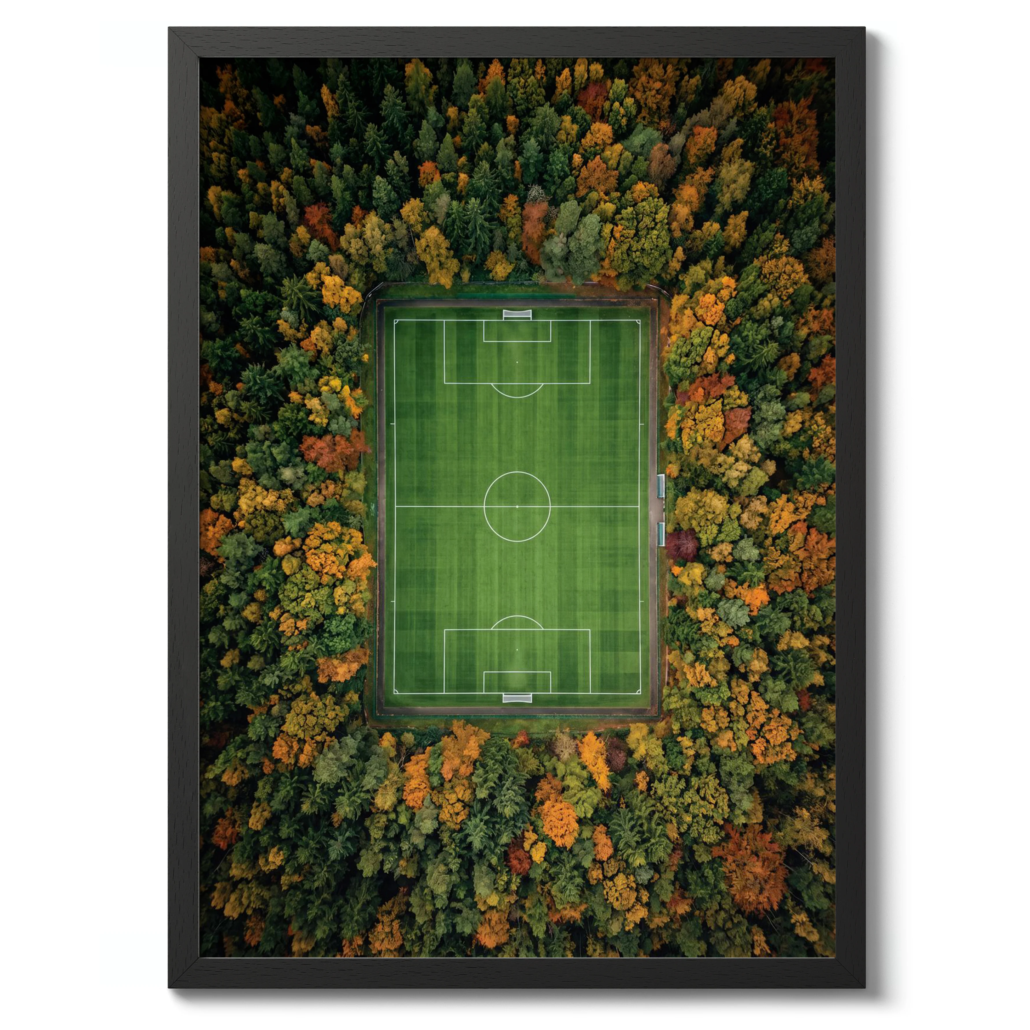 The Clearing - Image 2