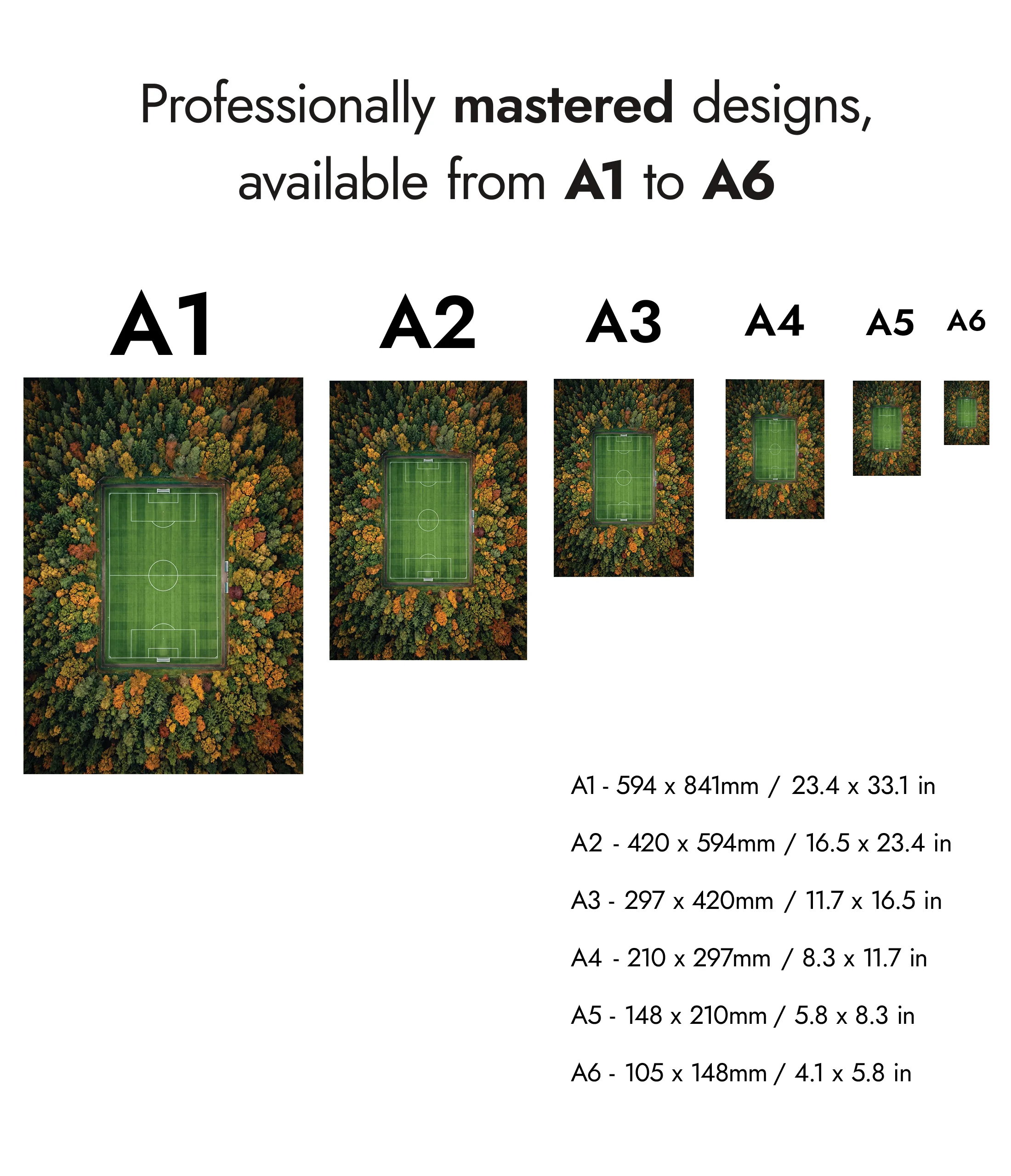 The Clearing - Image 8