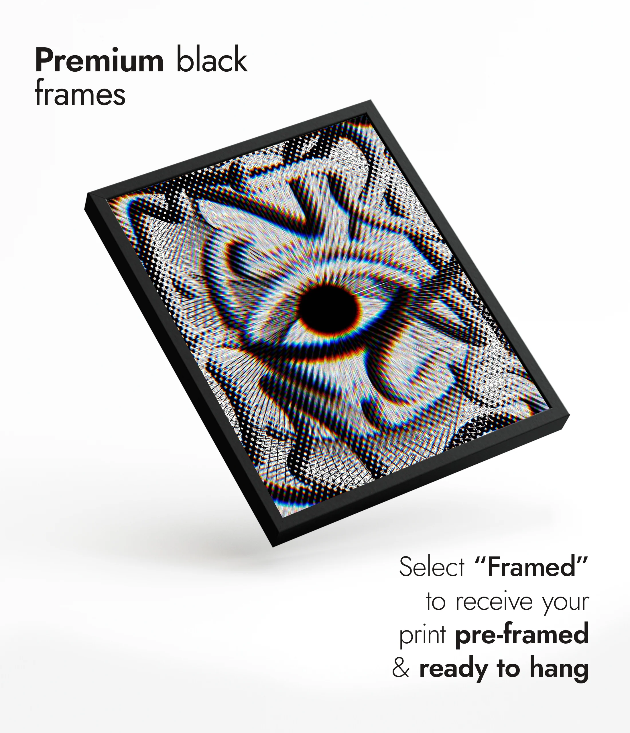 The Eye - Image 7