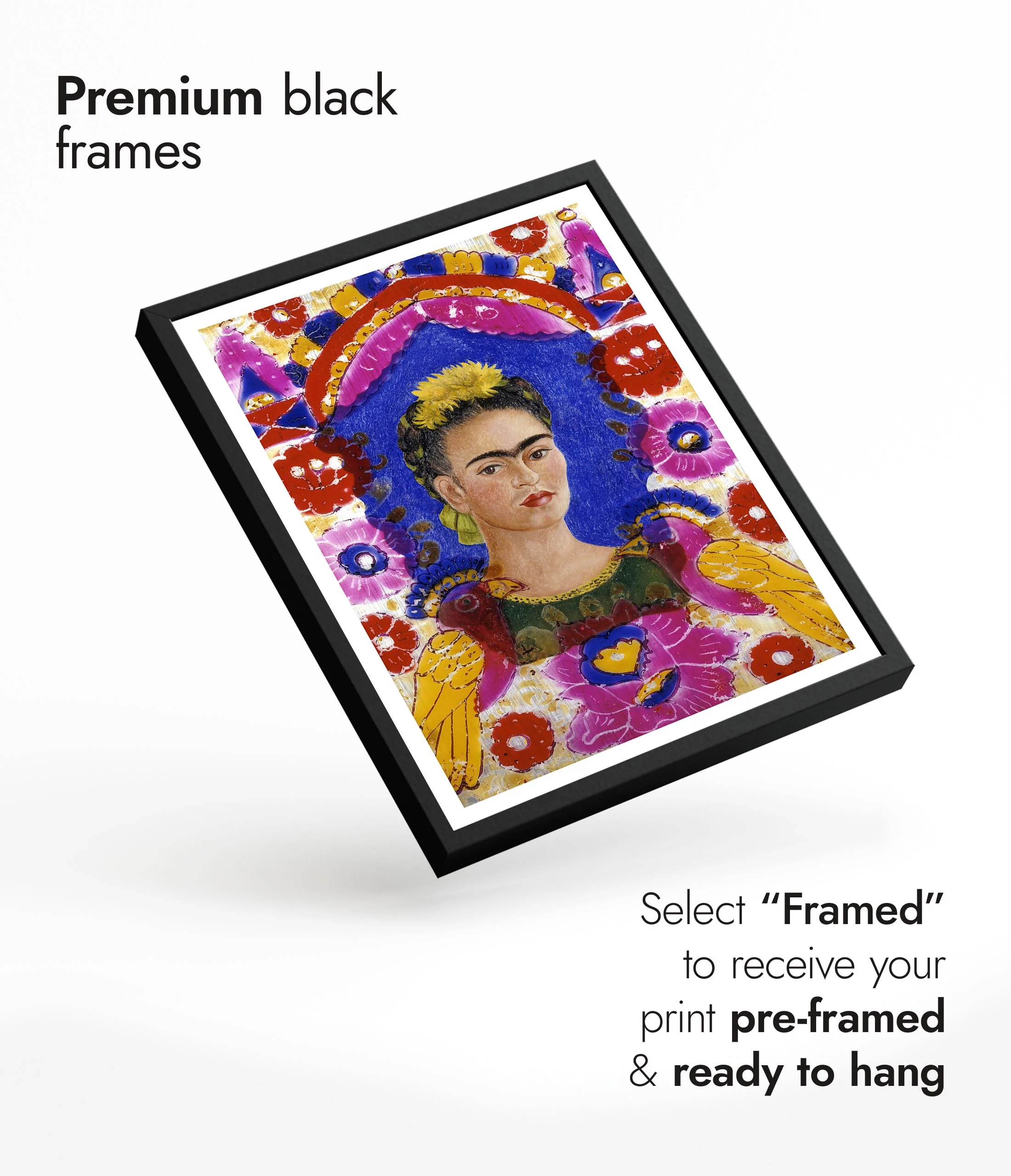 The Frame - Image 7
