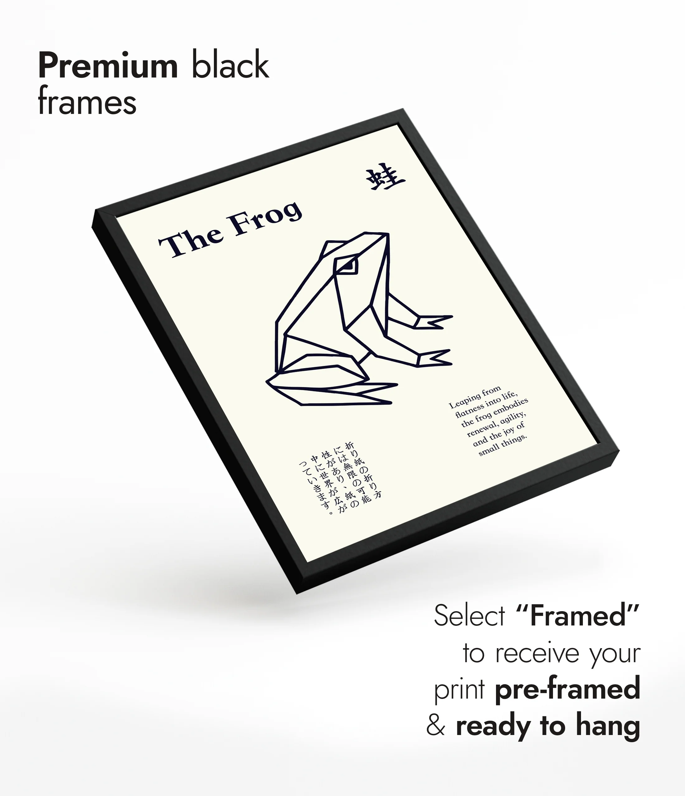 The Frog - Image 7