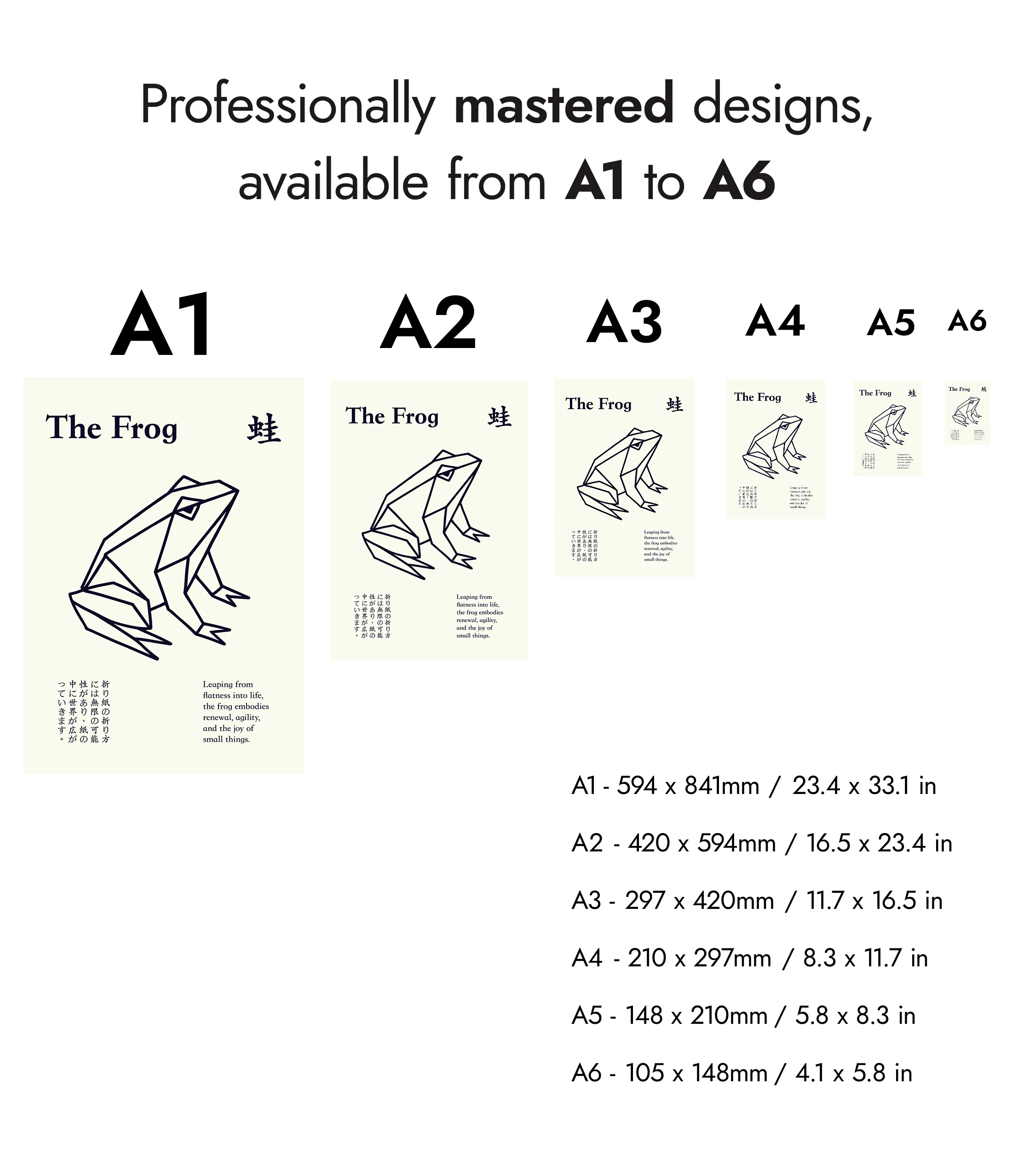 The Frog - Image 8