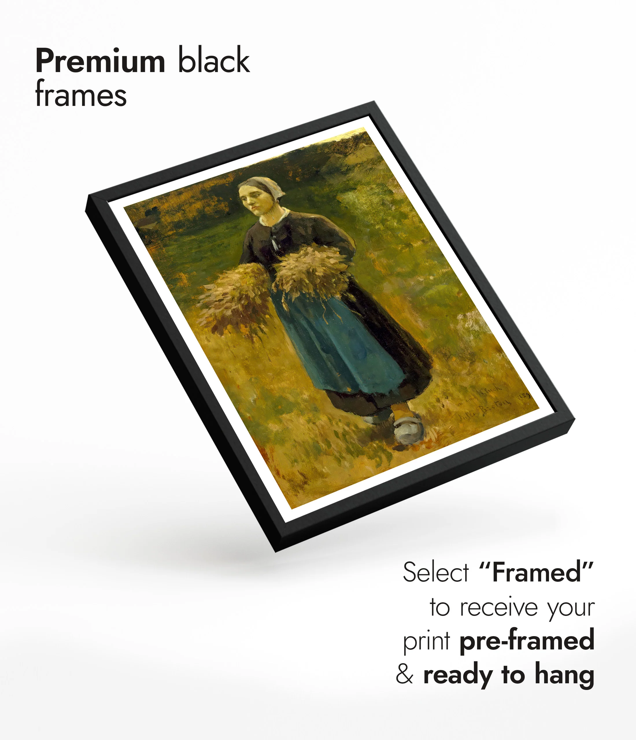 The Gleaner - Image 7