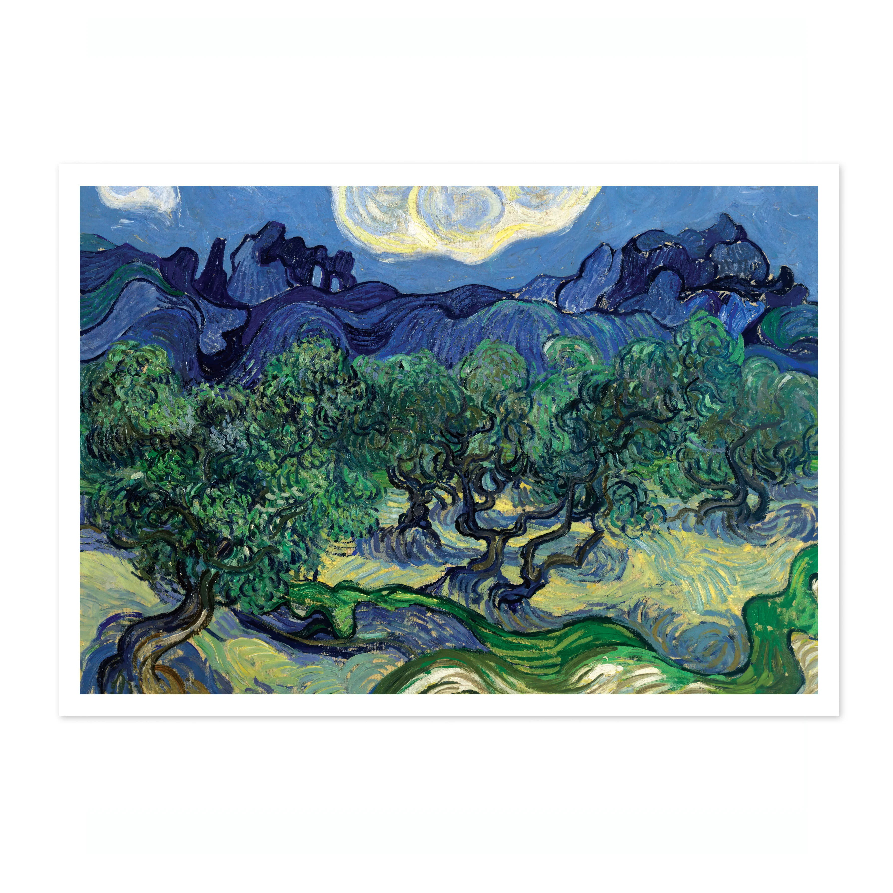 The Olive Trees - Image 4