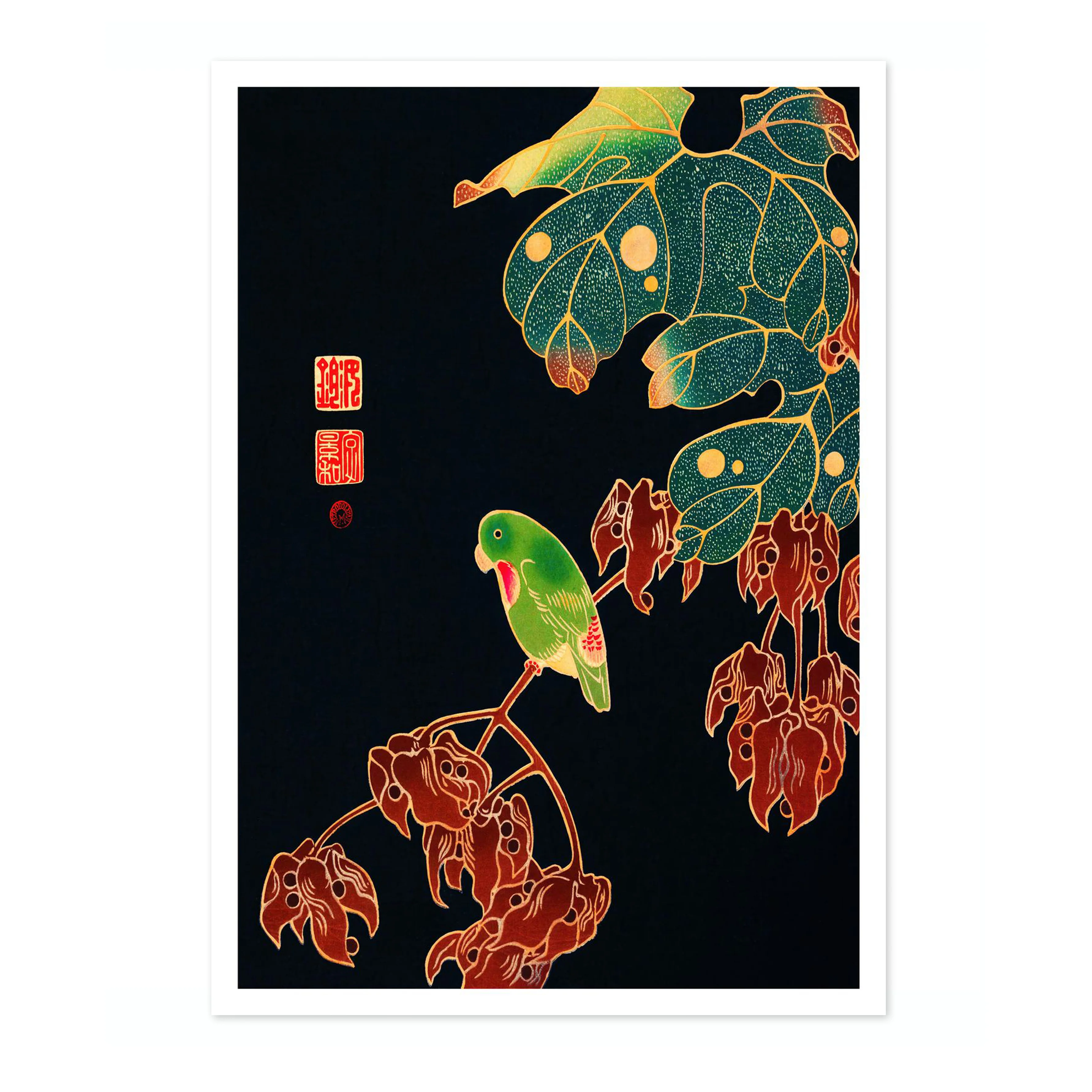The Paroquet - Image 4