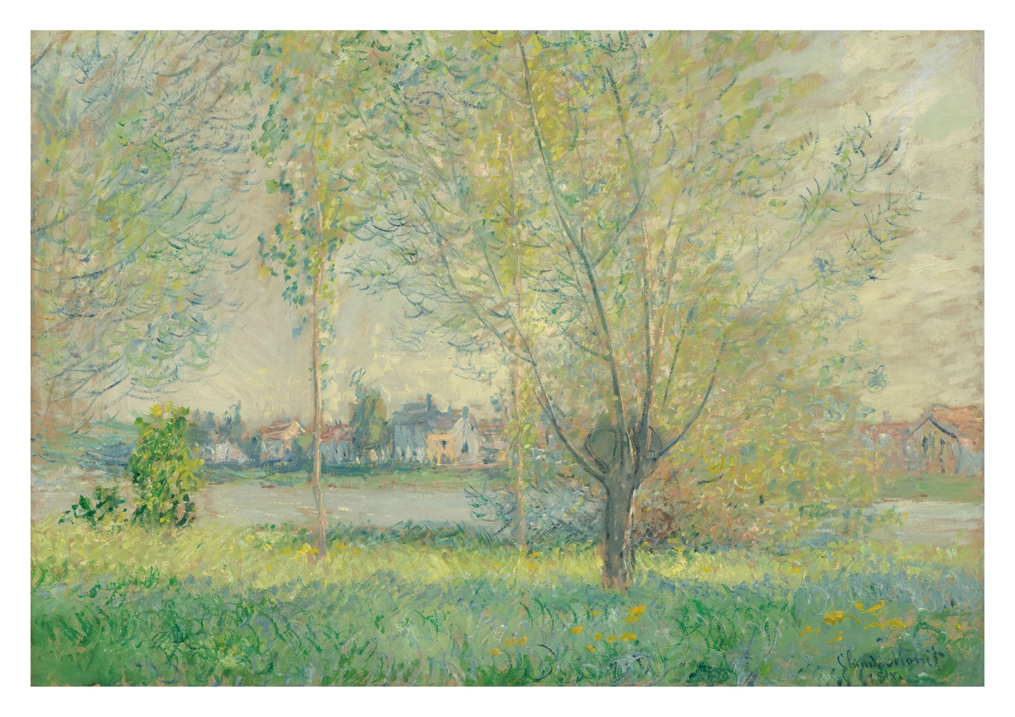 The Willows
