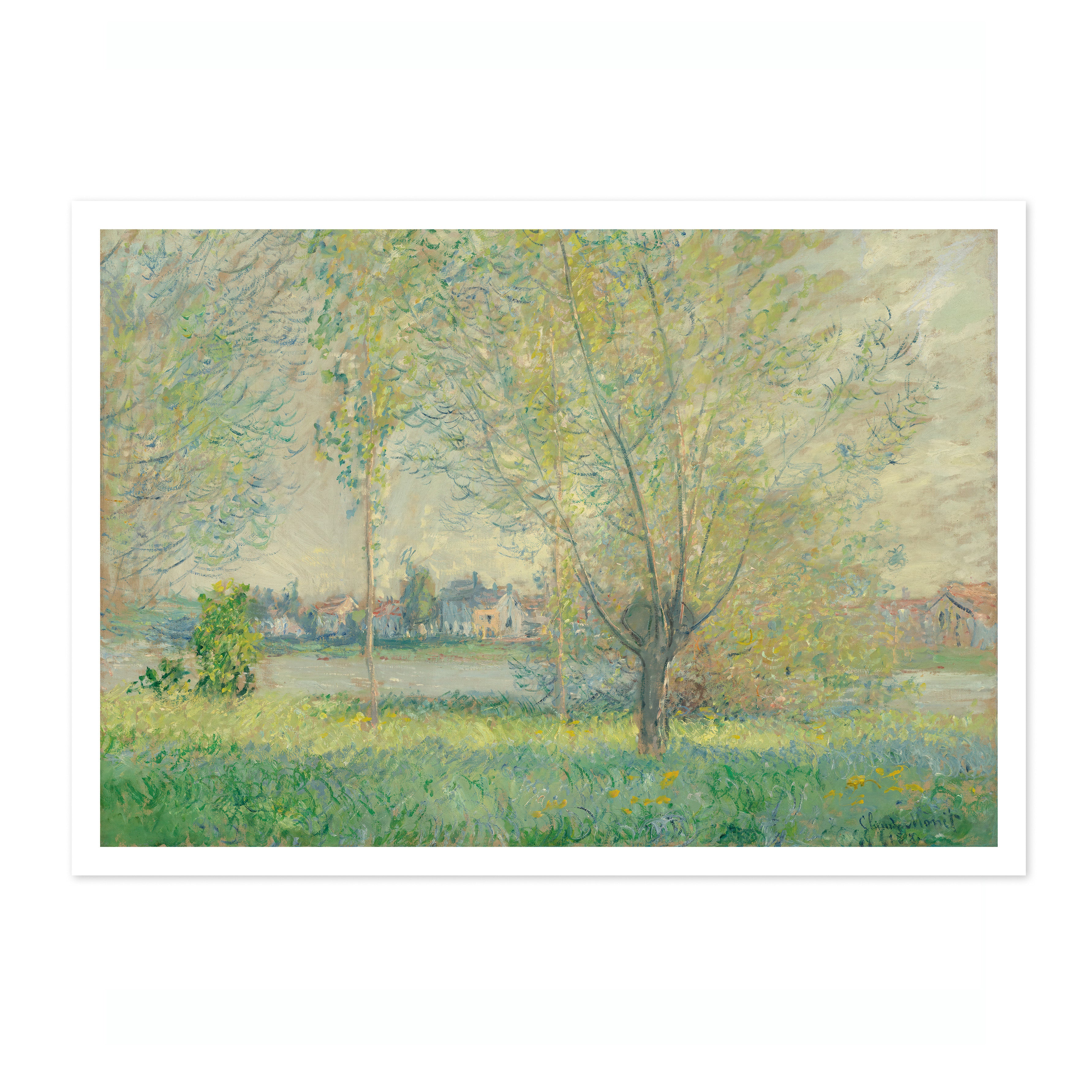 The Willows - Image 4