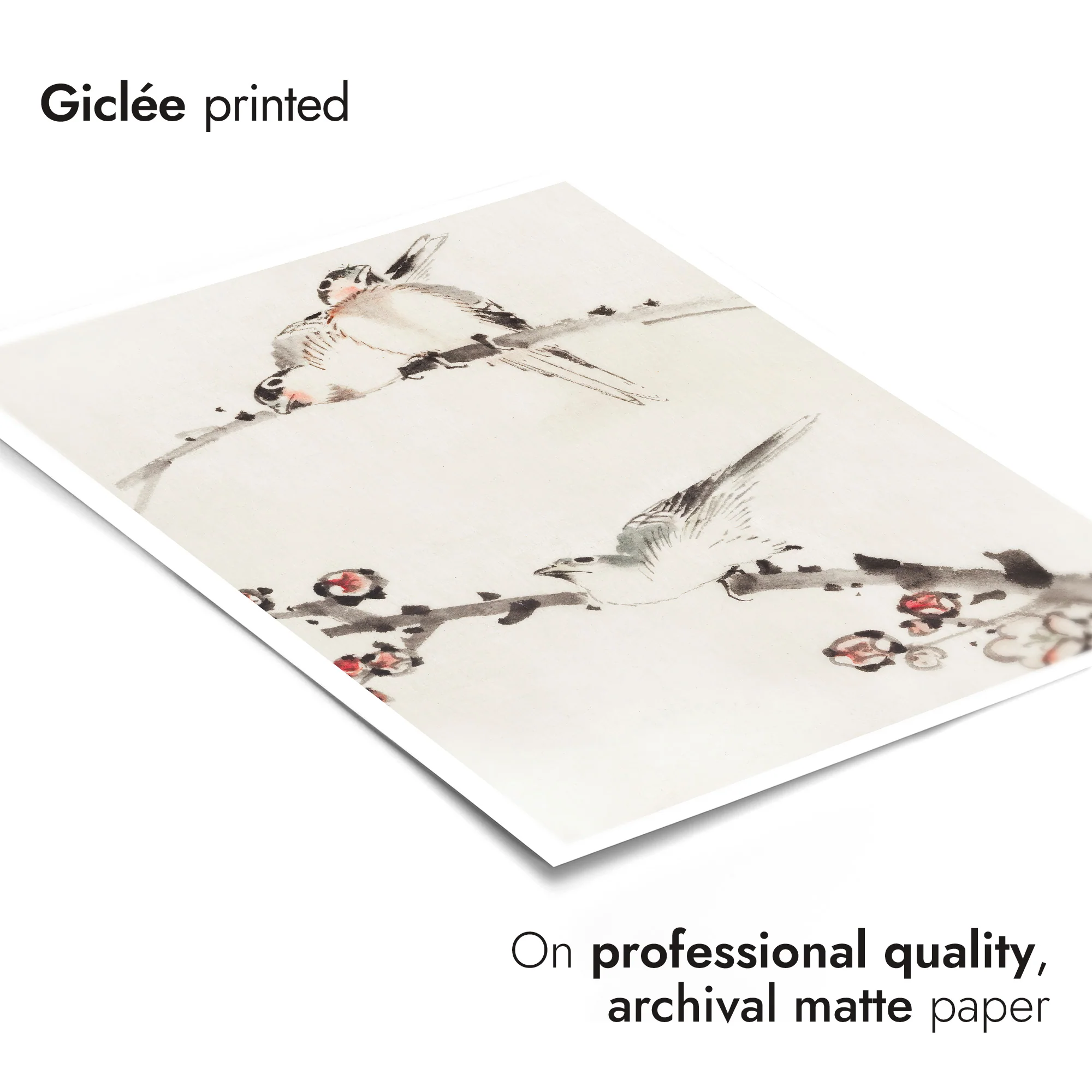 Three Birds Perched on Branches - Image 6