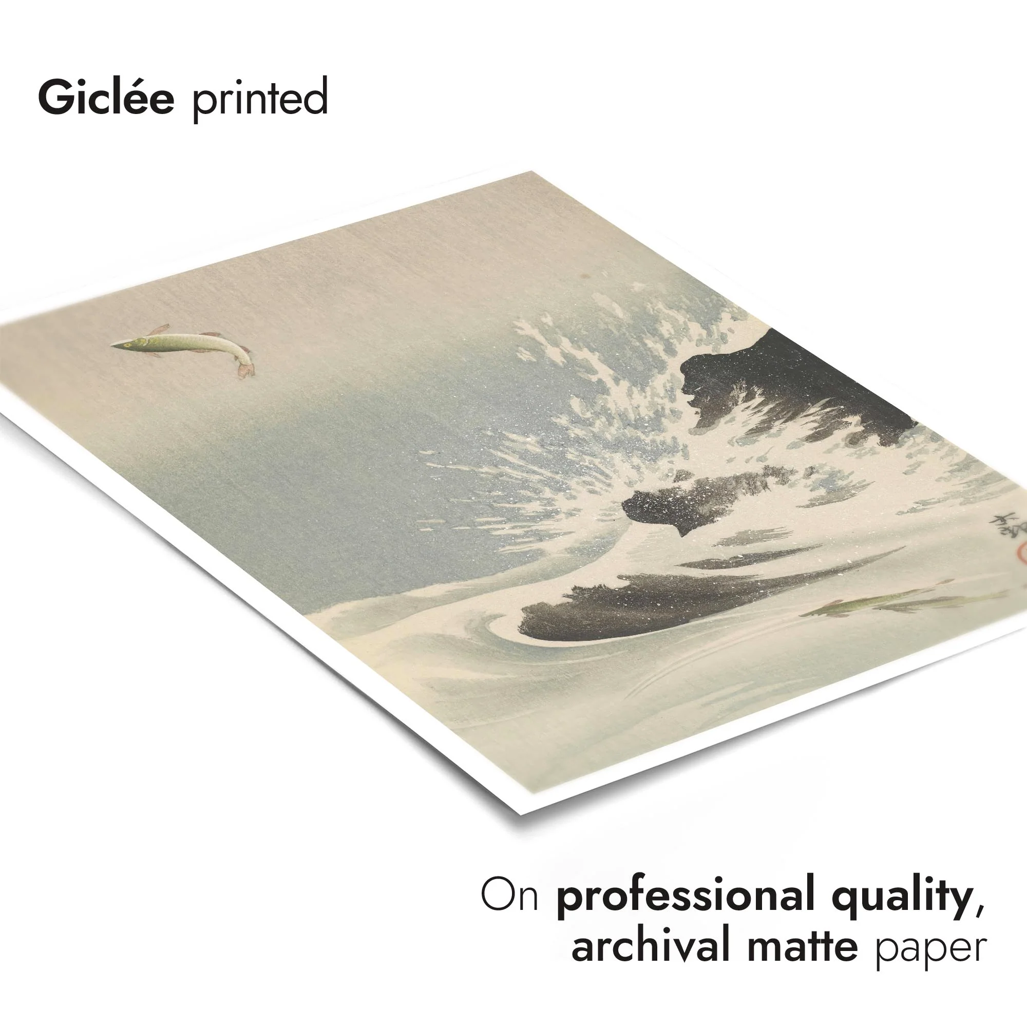 Three Salmon, One Jumping High Above the Water - Image 6