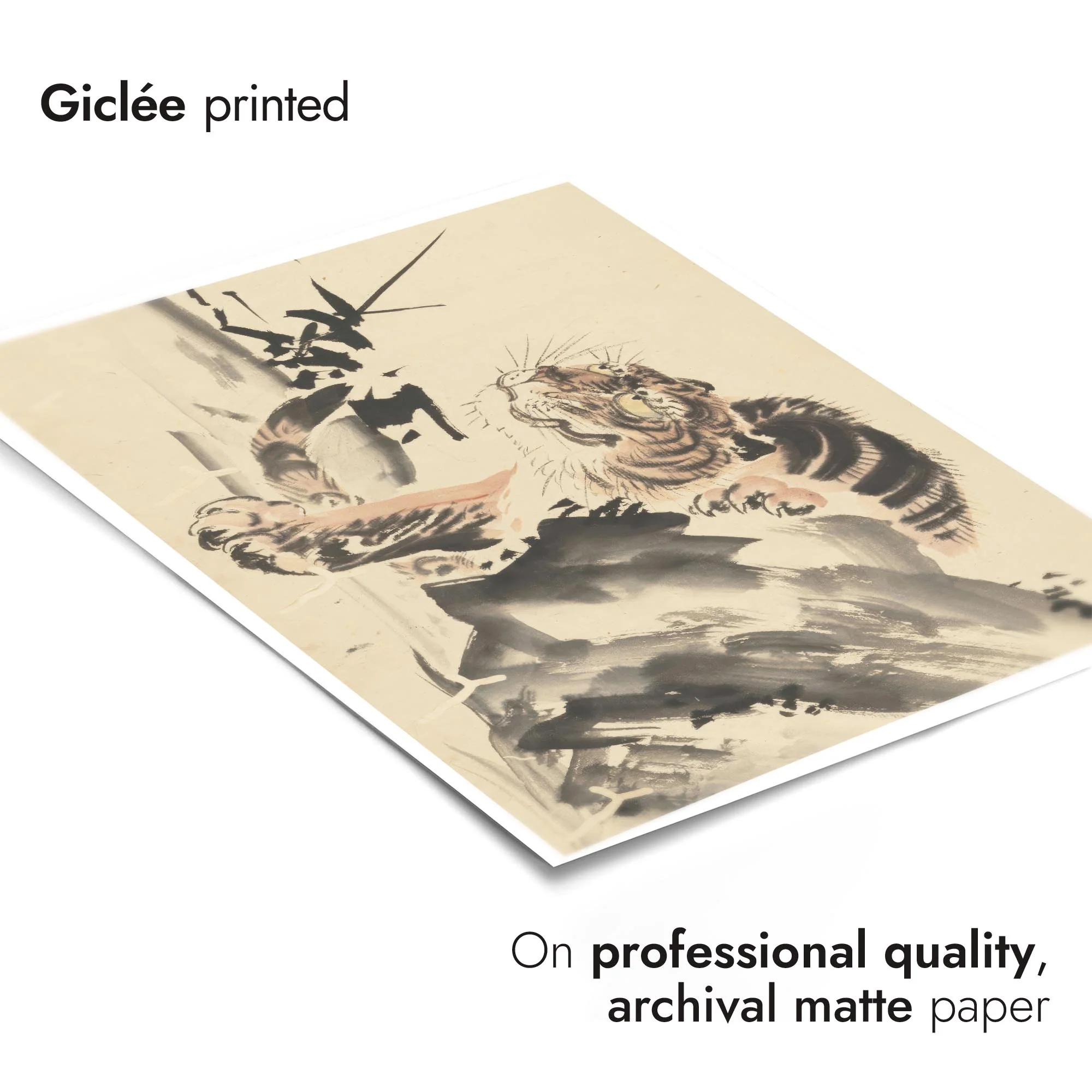 Tiger - Image 6