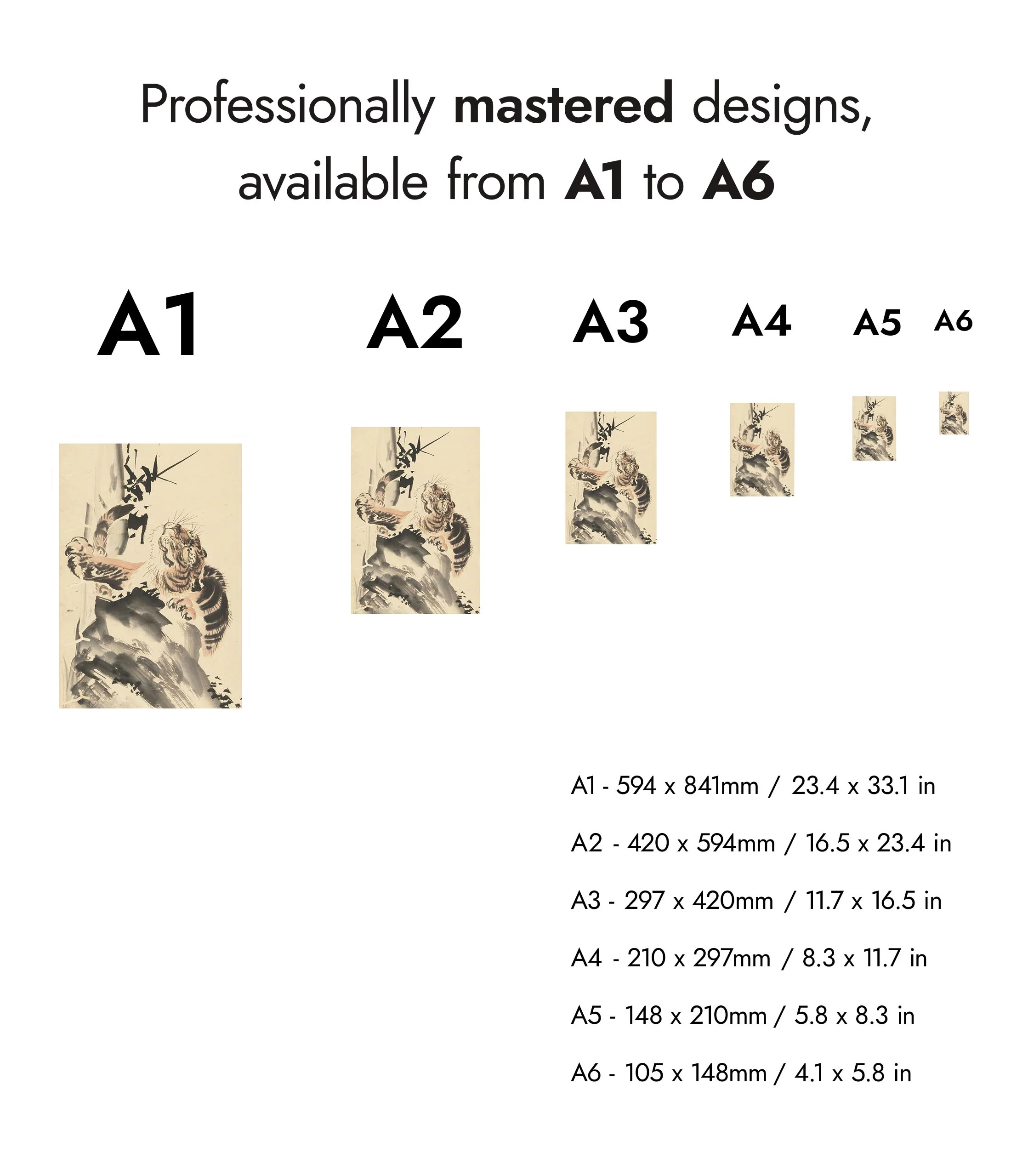 Tiger - Image 8