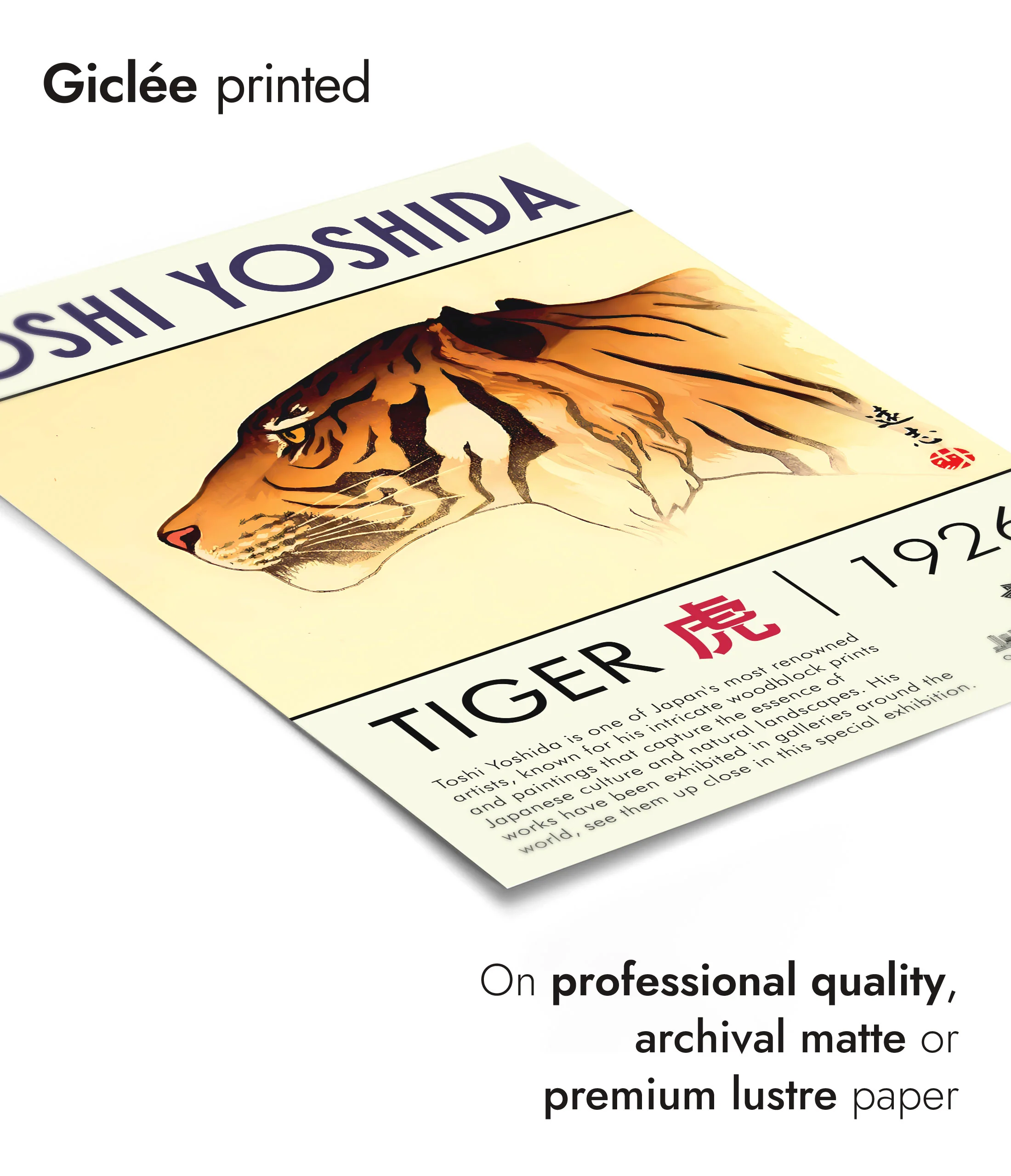 Tiger - Image 6