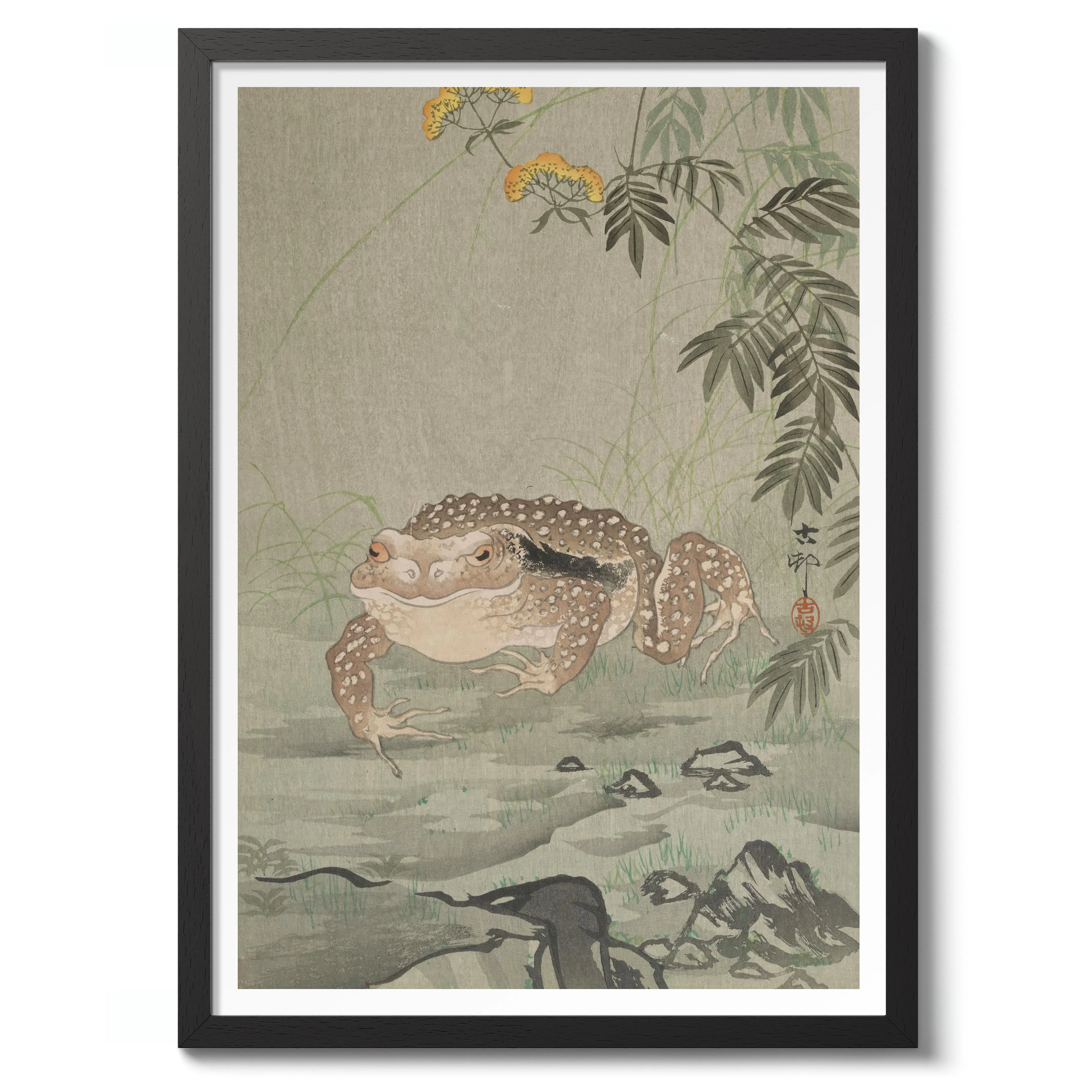Toad Next to a Flowering Plant - Image 2