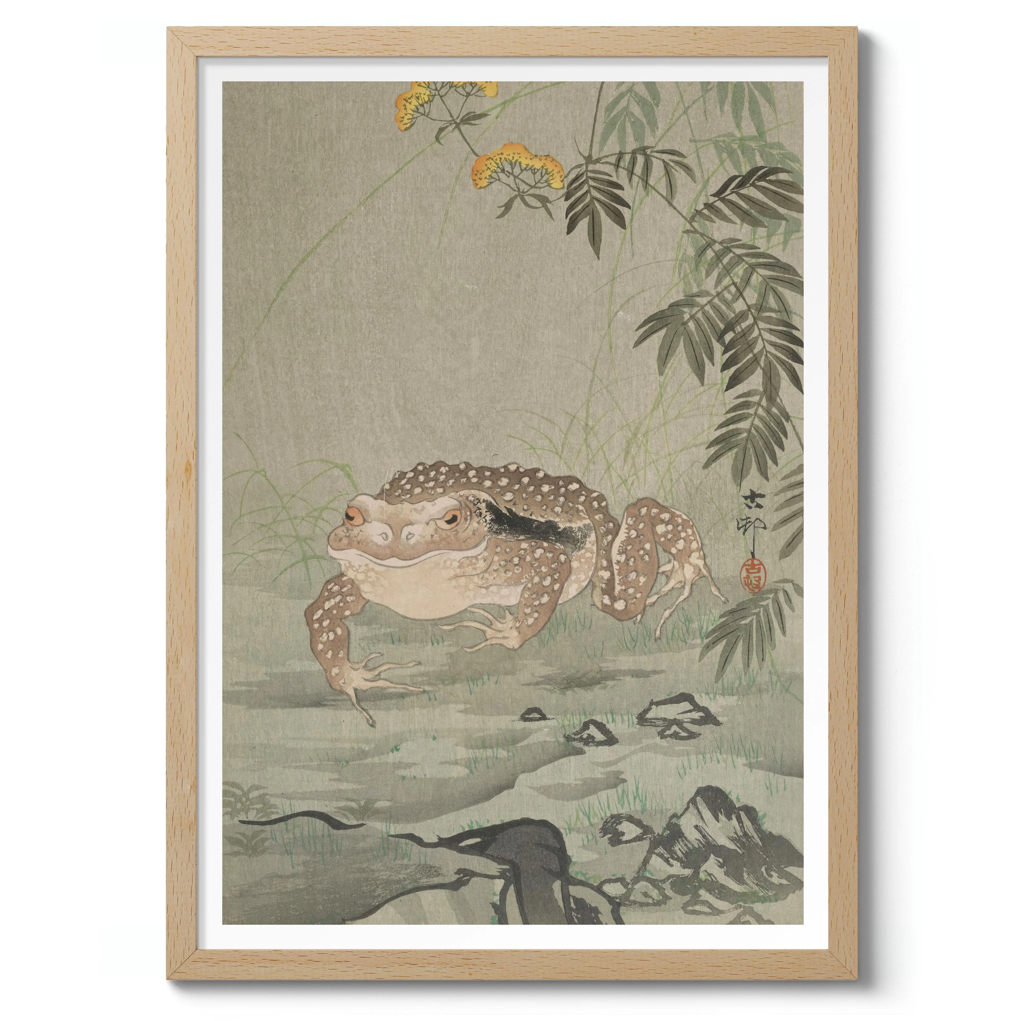 Toad Next to a Flowering Plant - Image 3