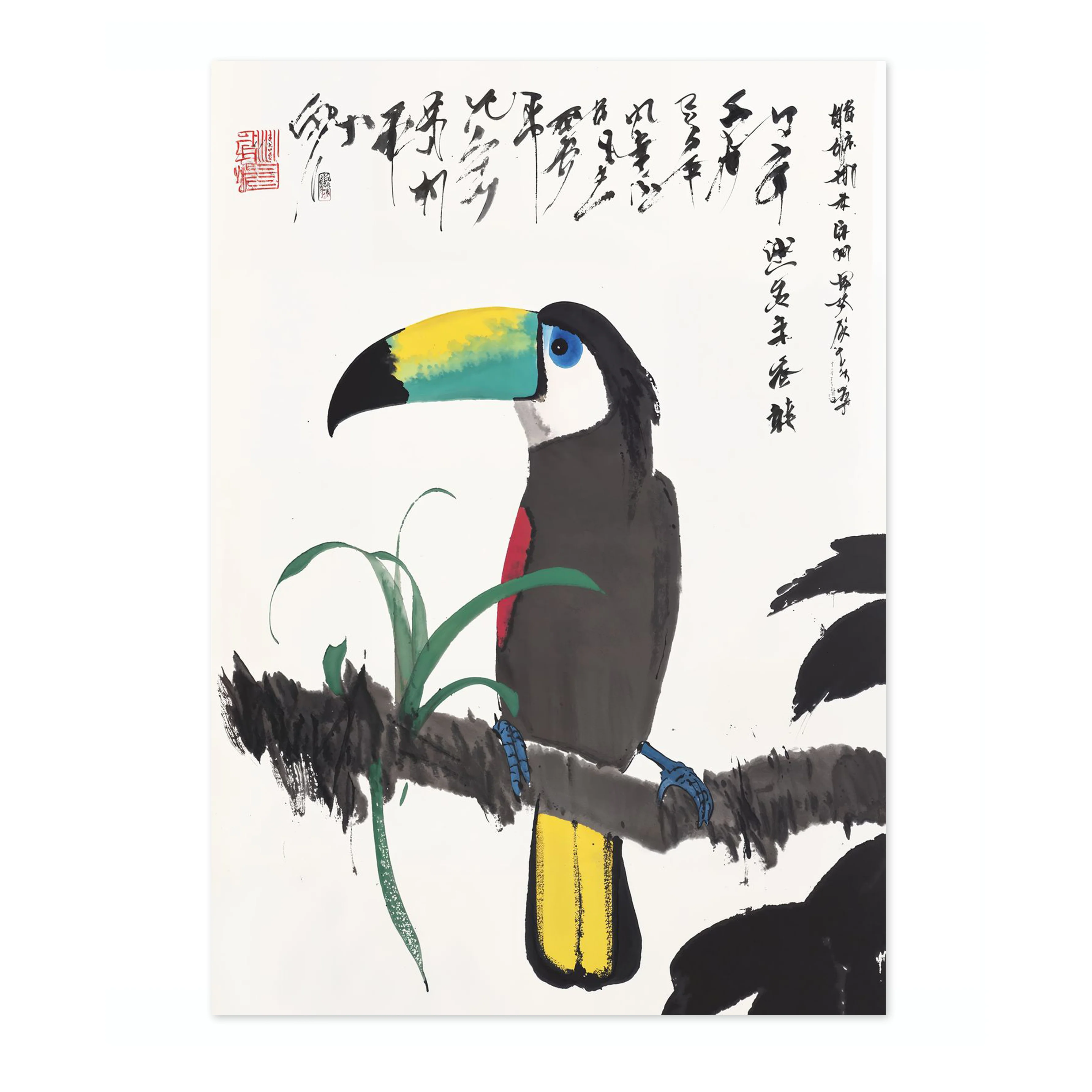 Toucan - Image 4