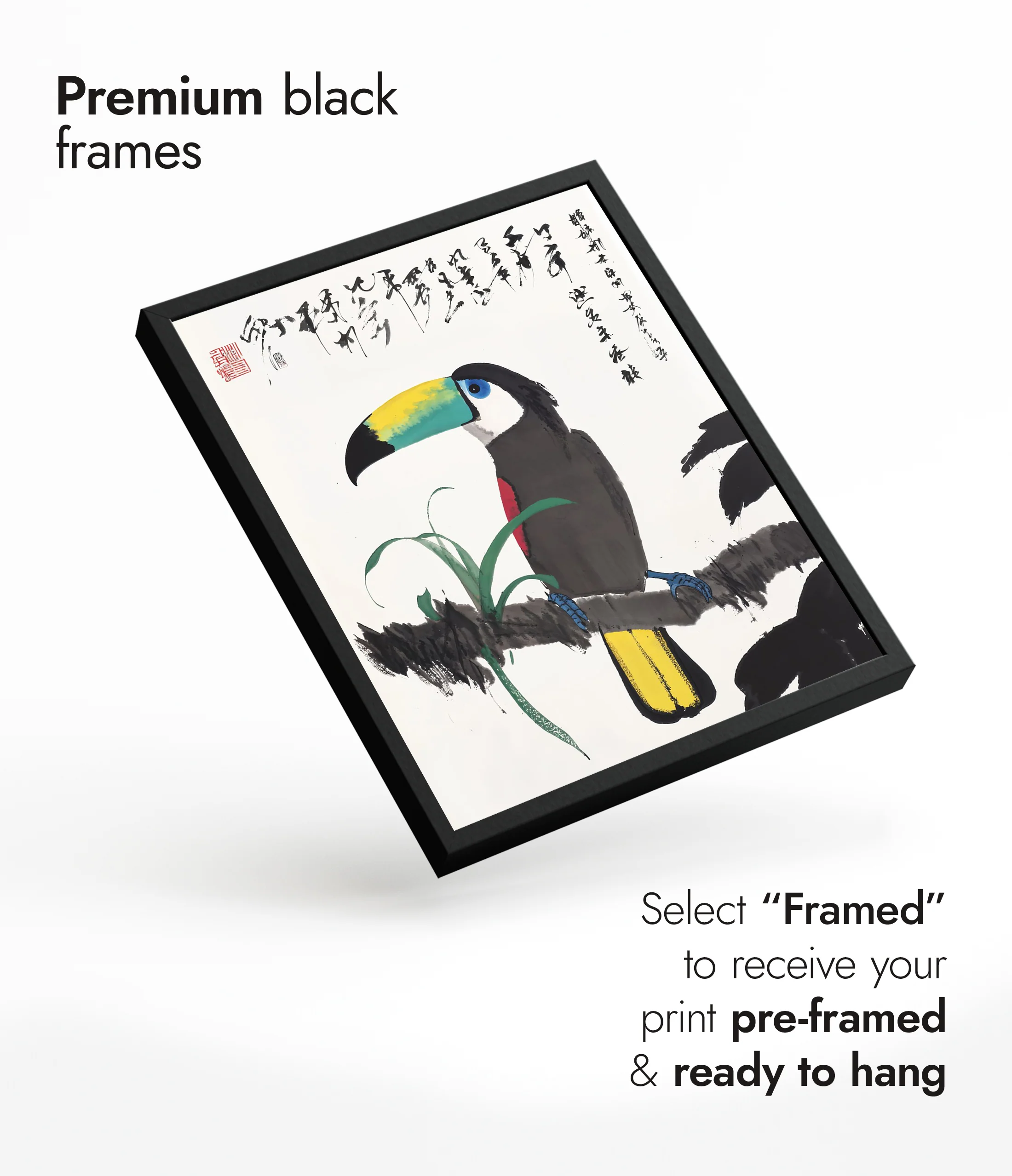 Toucan - Image 7