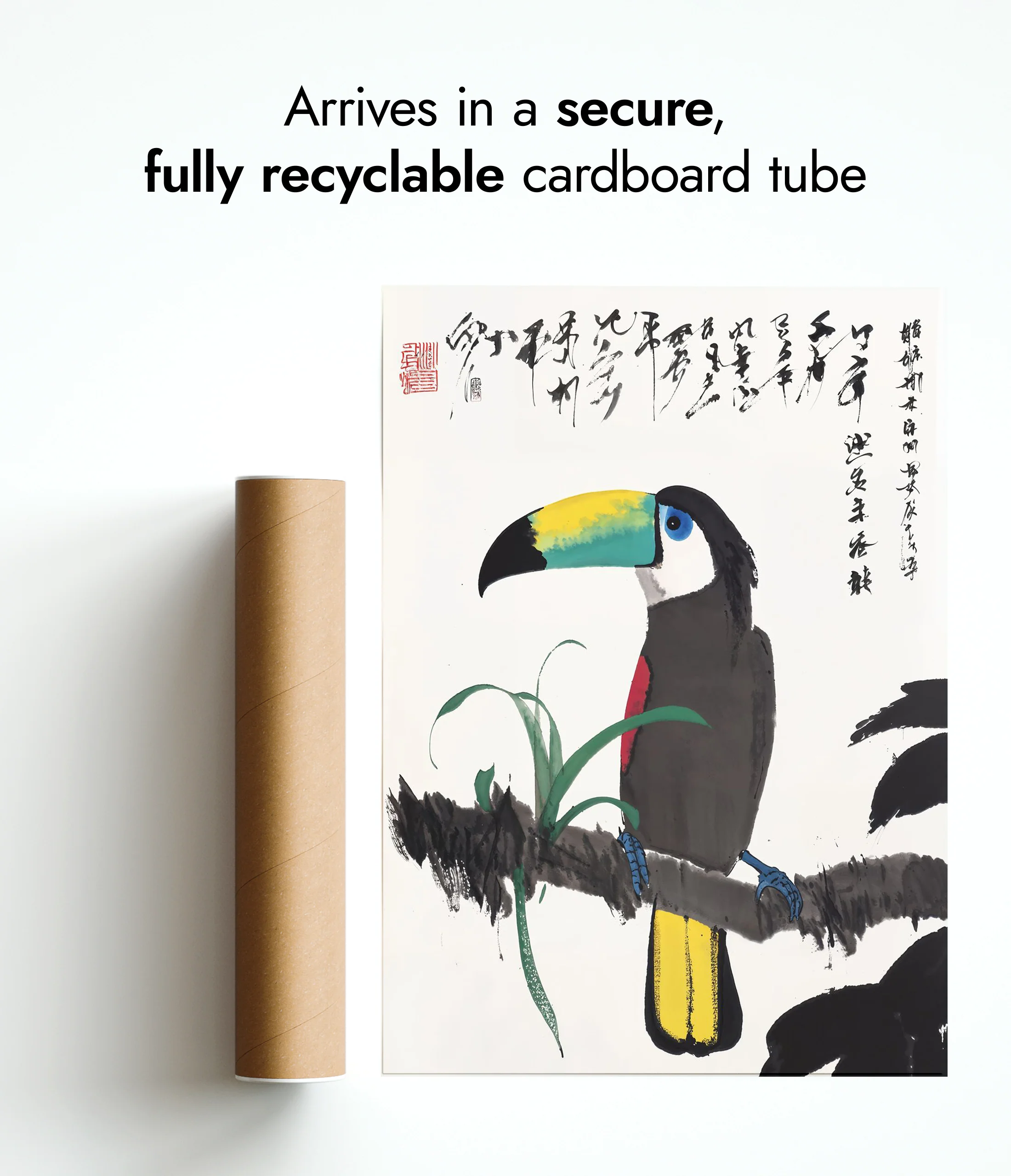 Toucan - Image 9