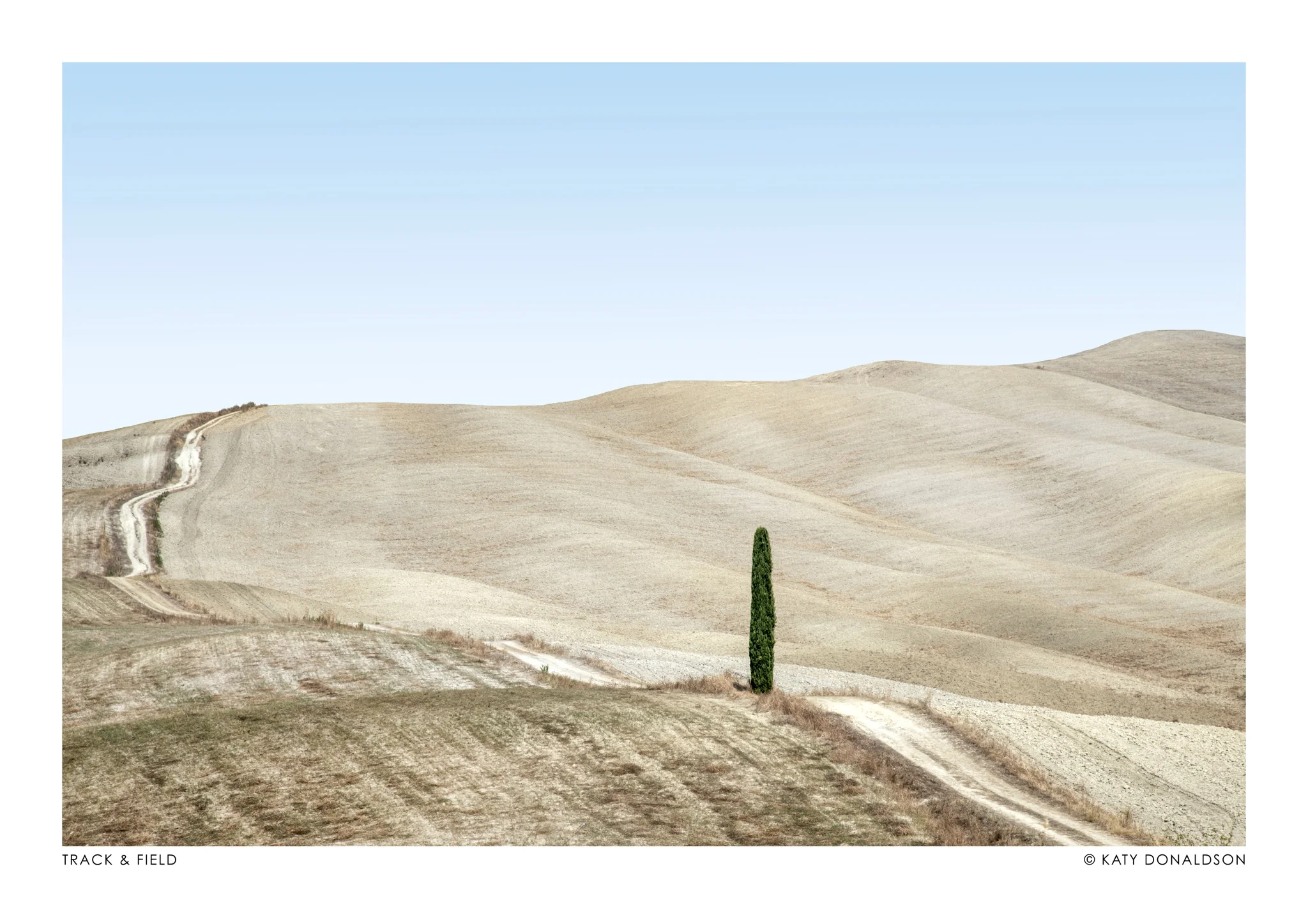 Track & Field Landscape
