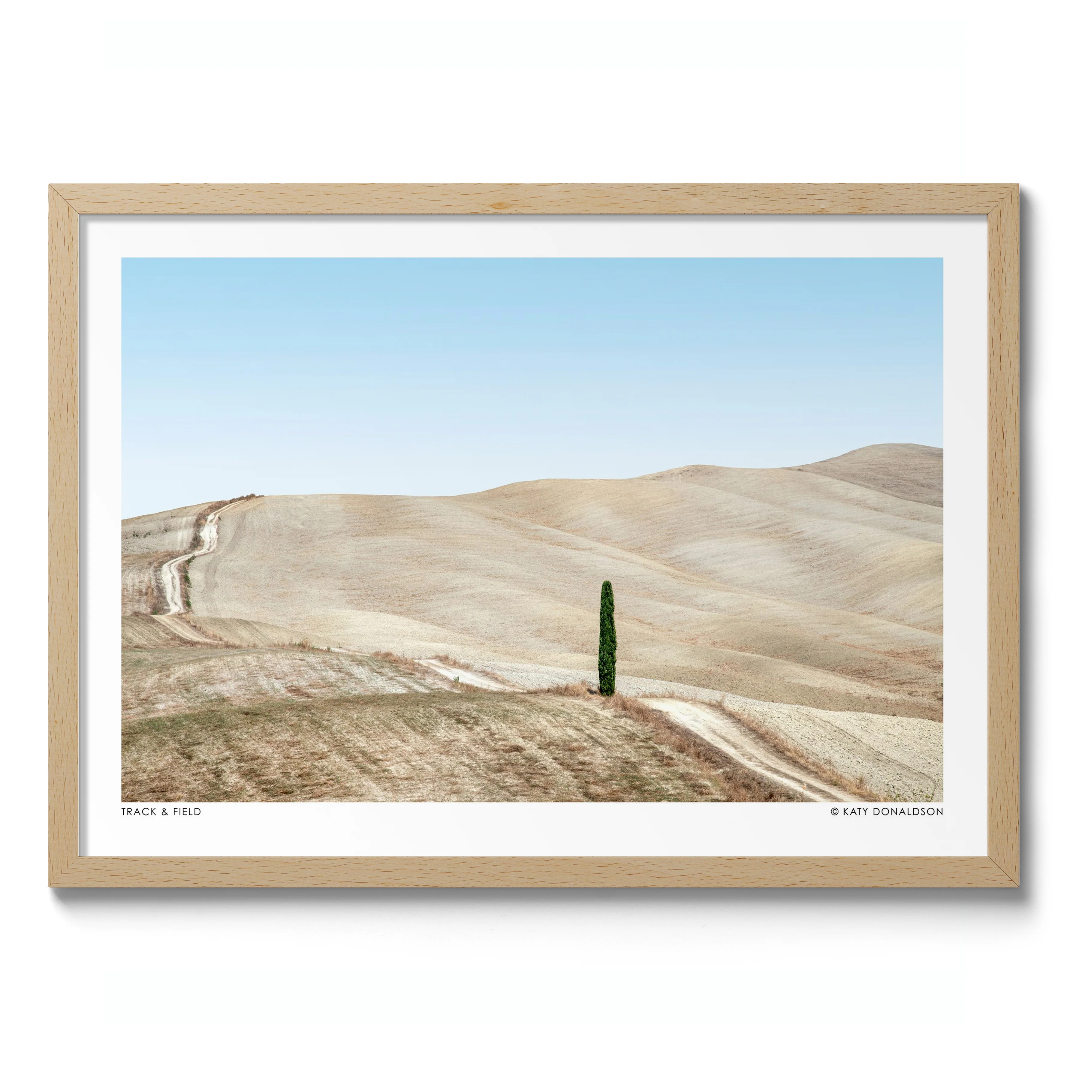 Track & Field Landscape - Image 3