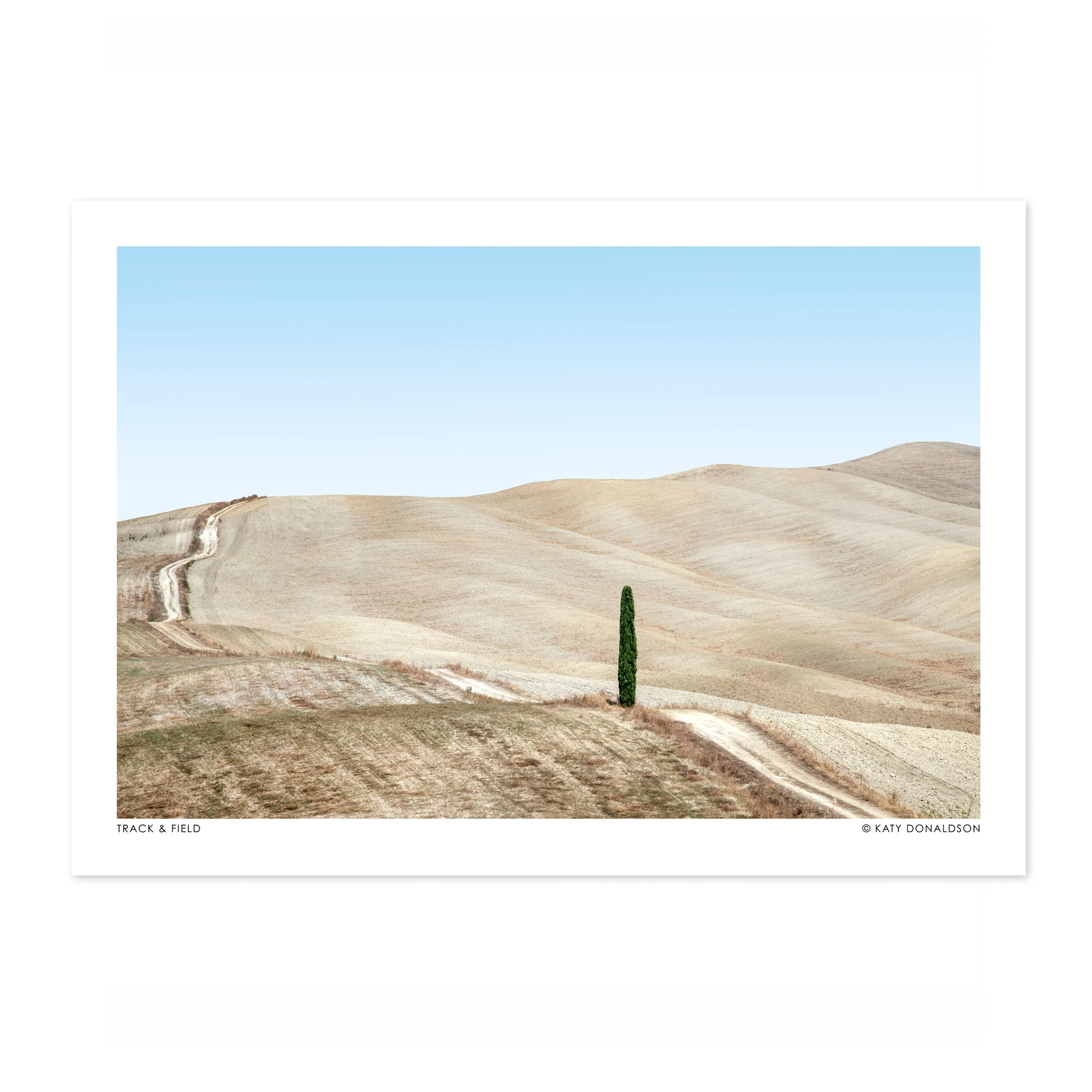 Track & Field Landscape - Image 4