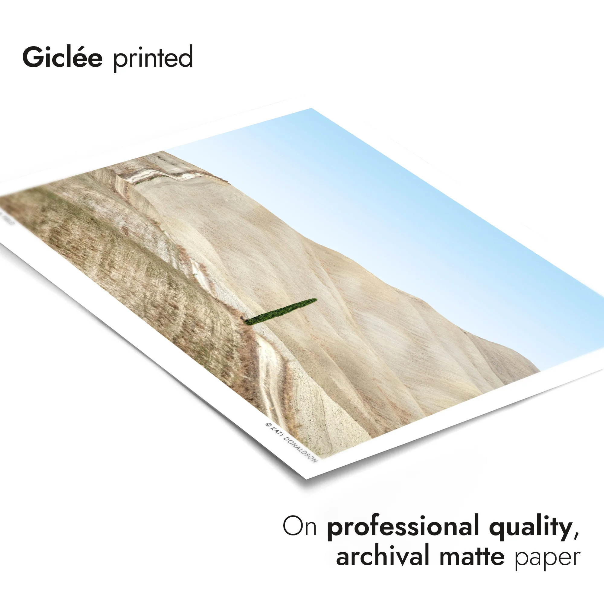 Track & Field Landscape - Image 6