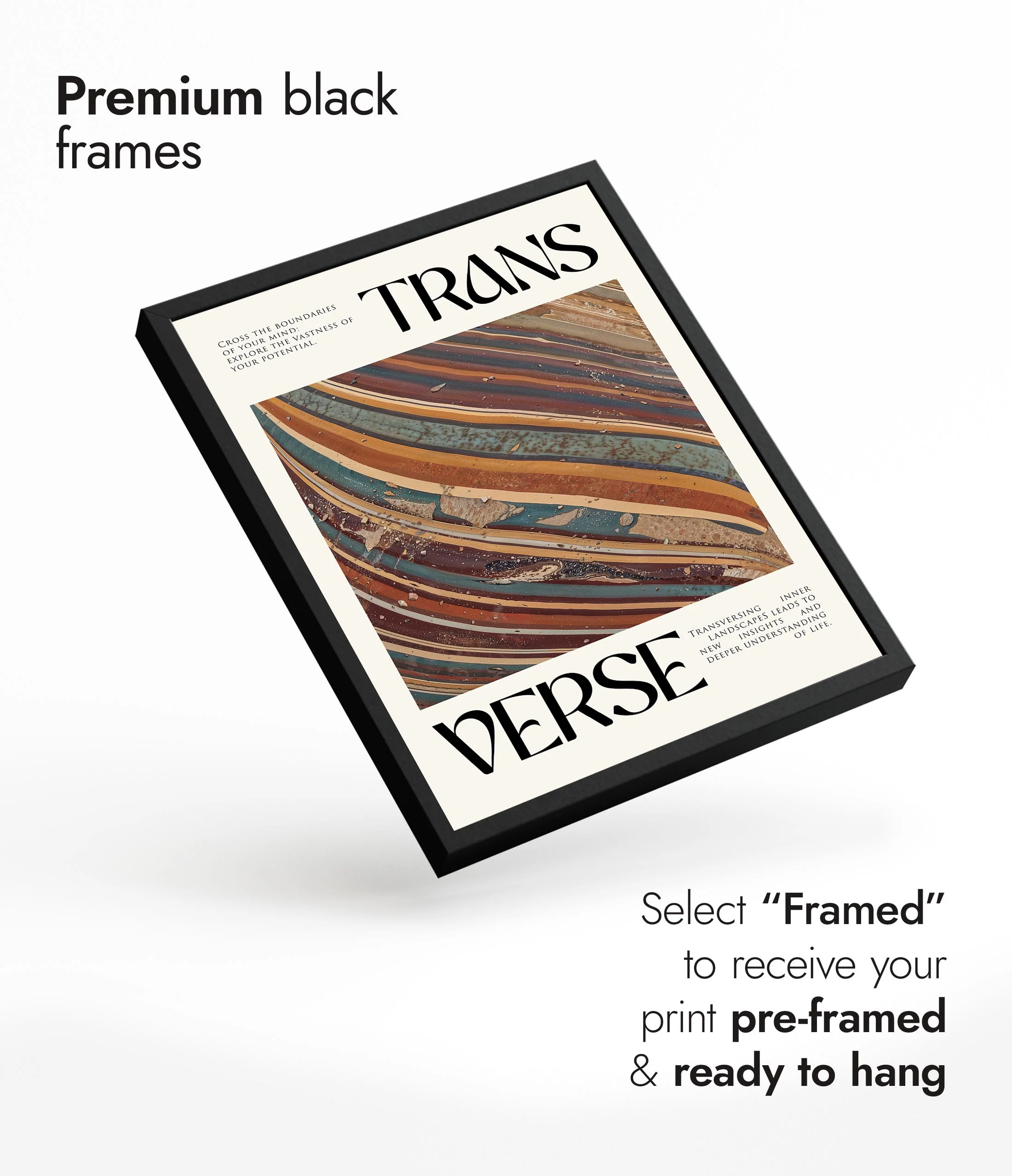 Transverse - Image 7