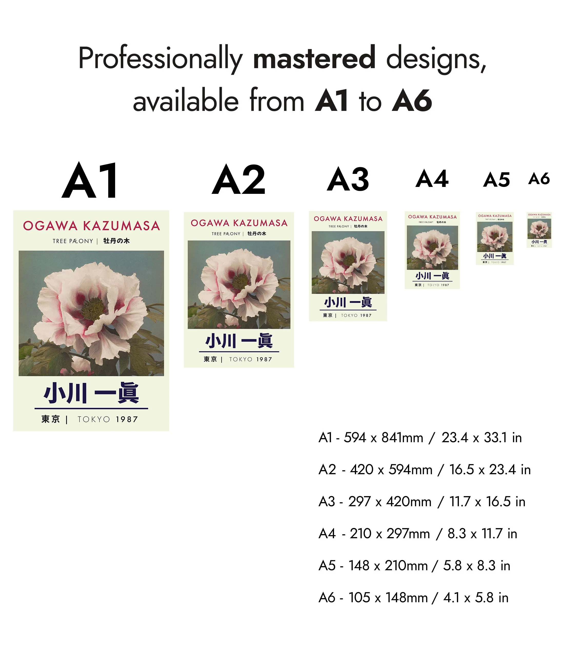 Tree Peony - Image 8