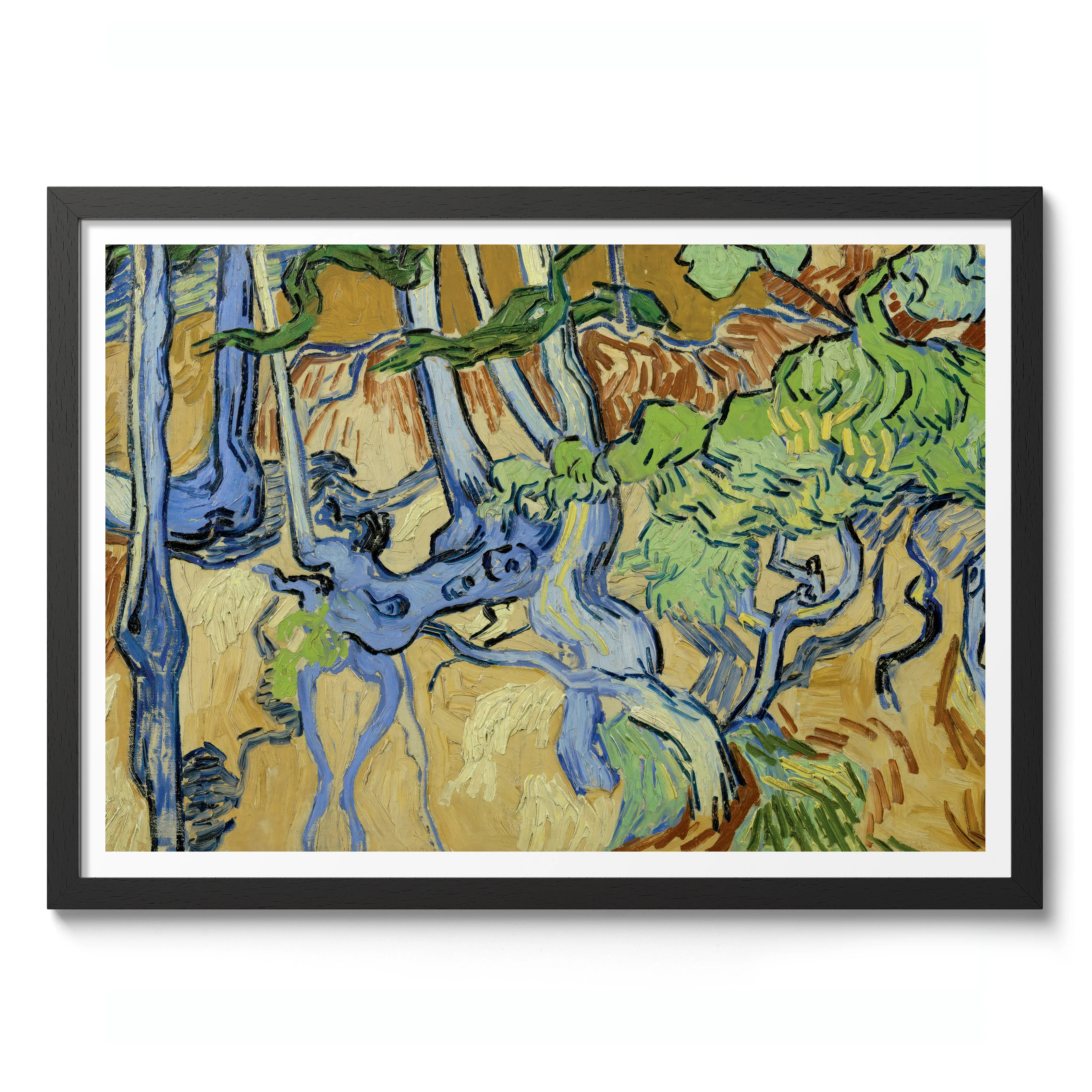 Tree Roots - Image 2