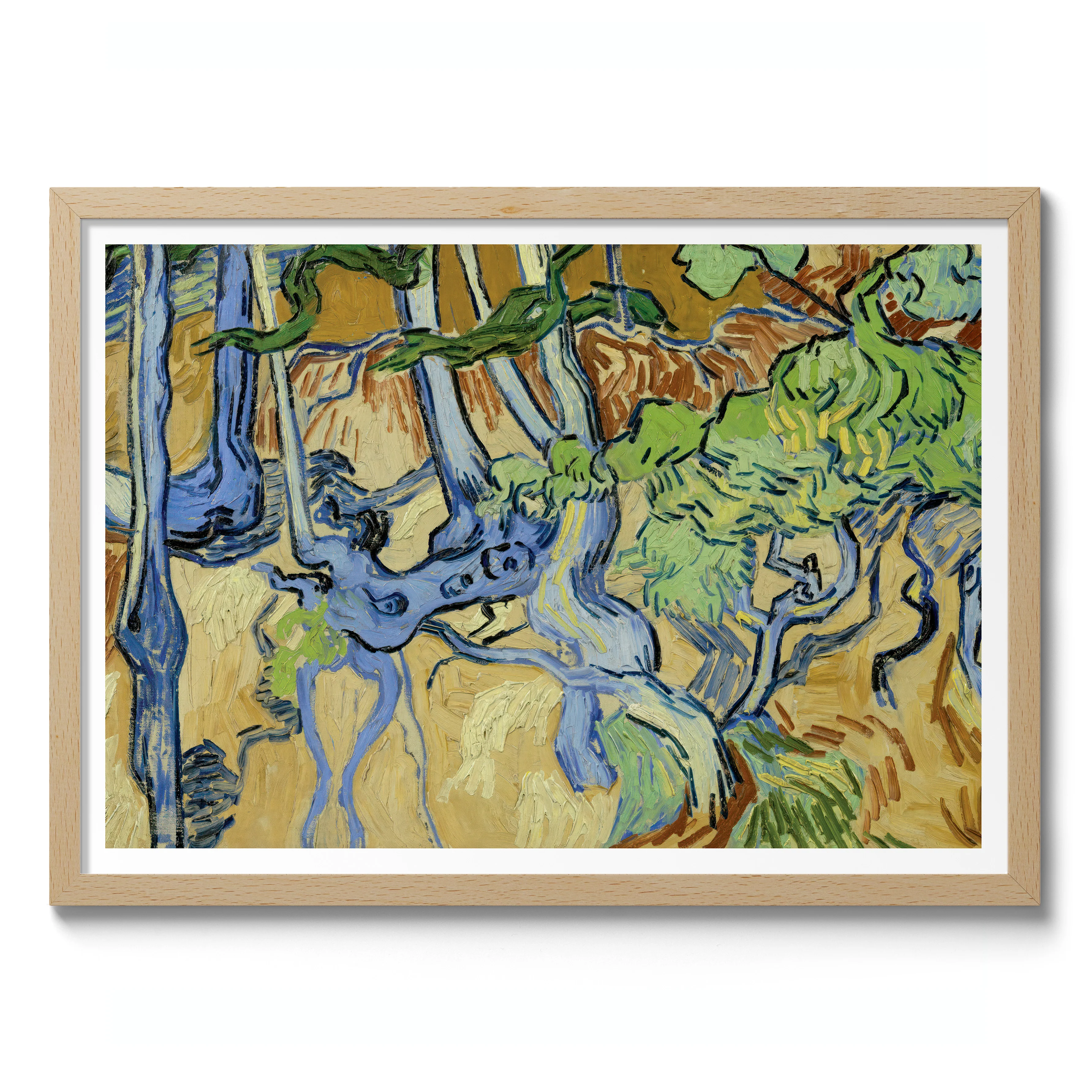 Tree Roots - Image 3