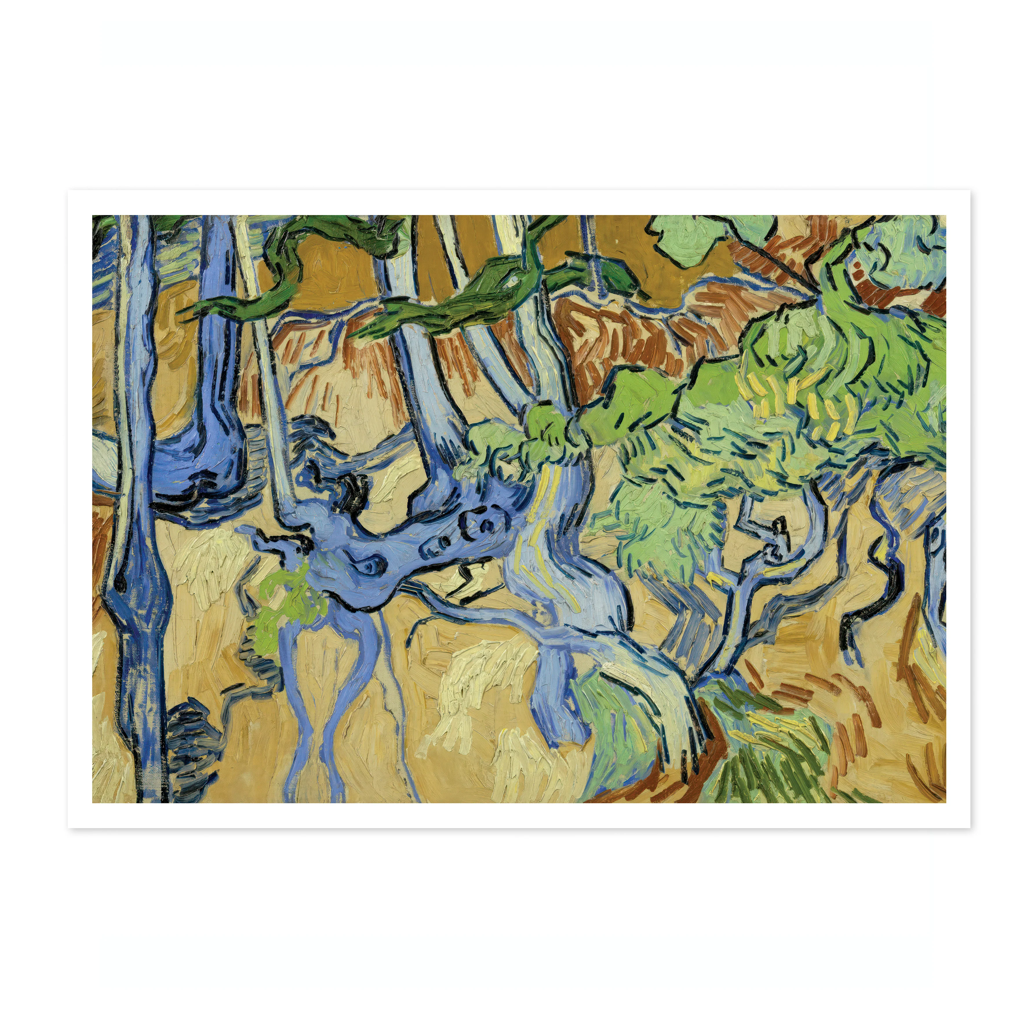 Tree Roots - Image 4