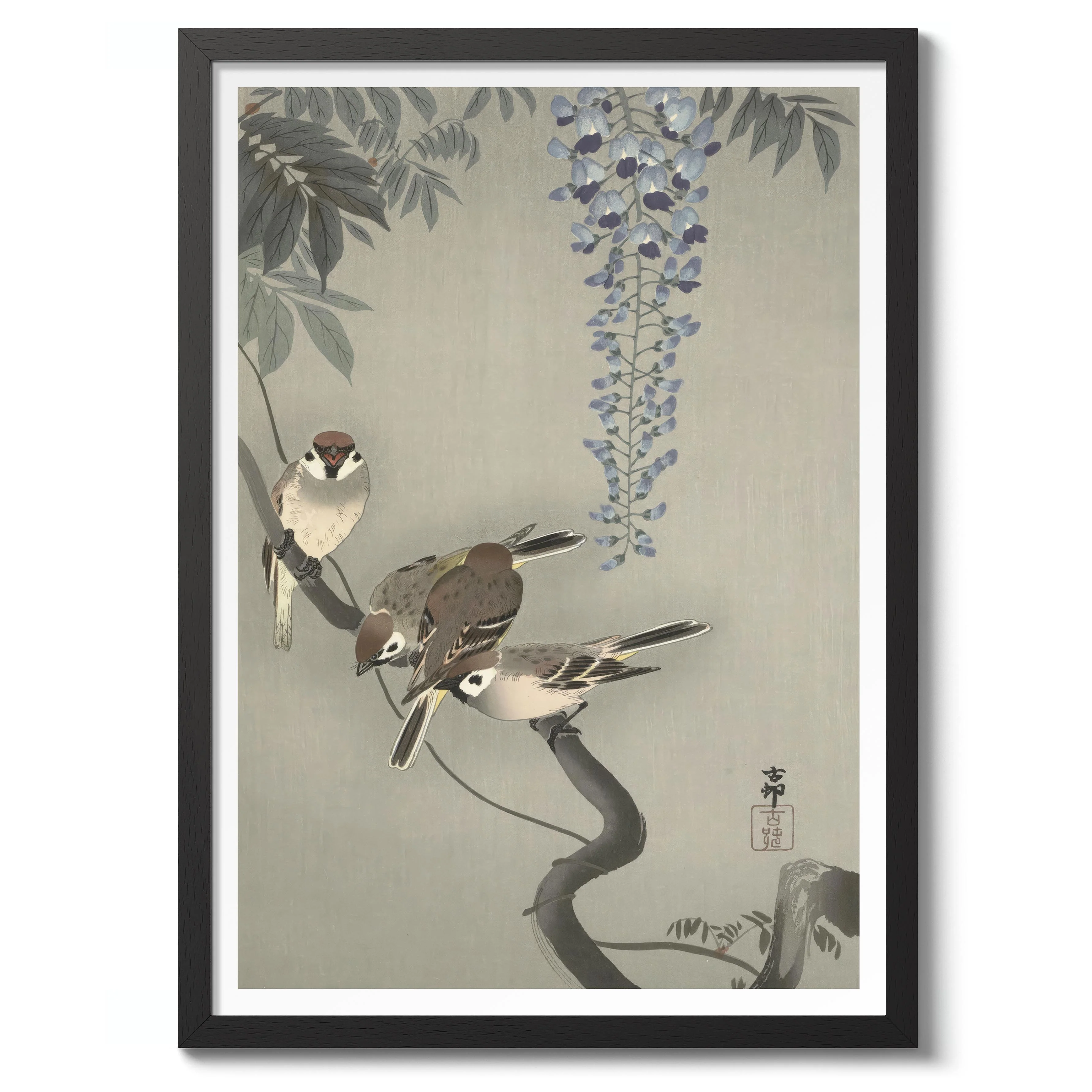 Tree Sparrows near Wisteria - Image 2