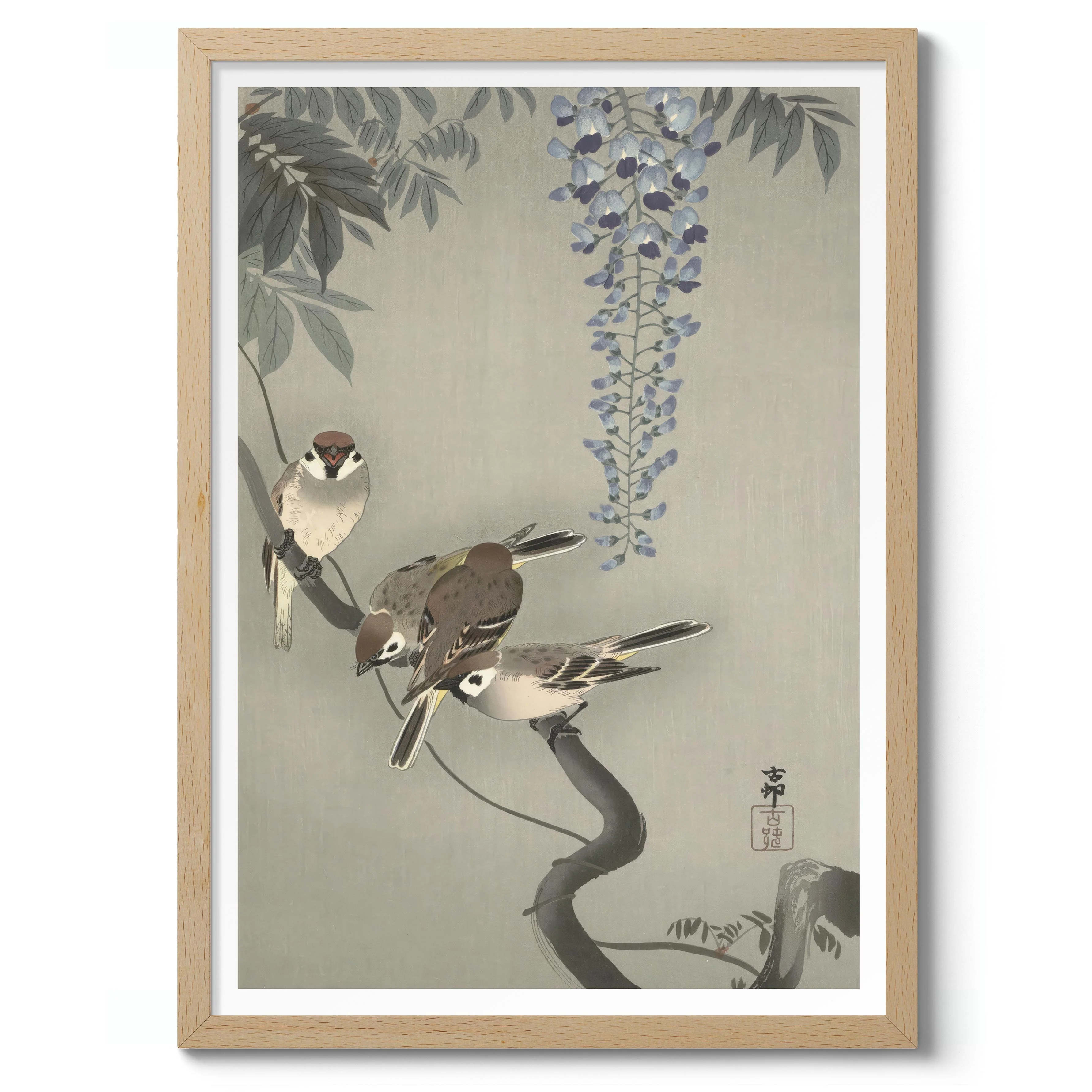 Tree Sparrows near Wisteria - Image 3