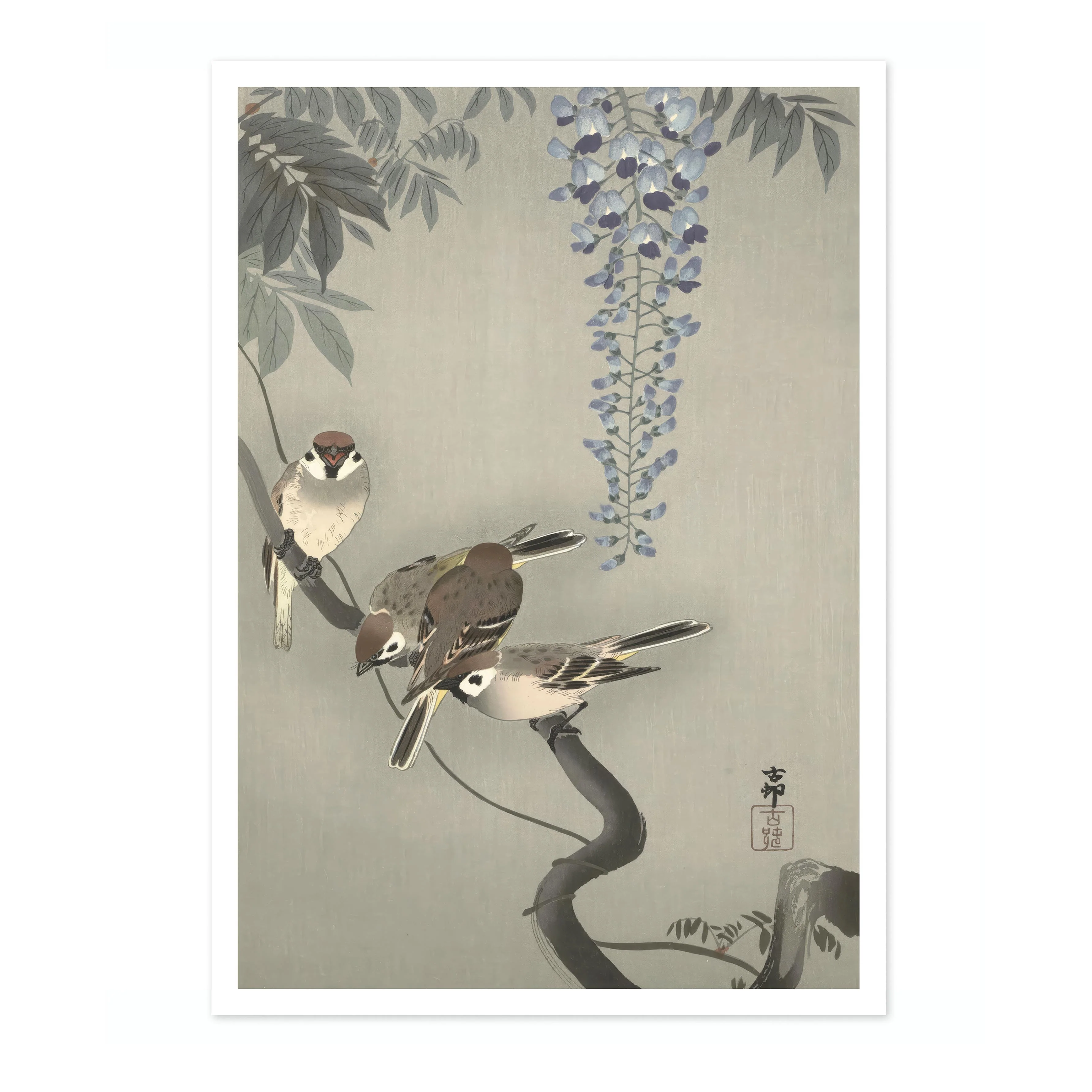 Tree Sparrows near Wisteria - Image 4