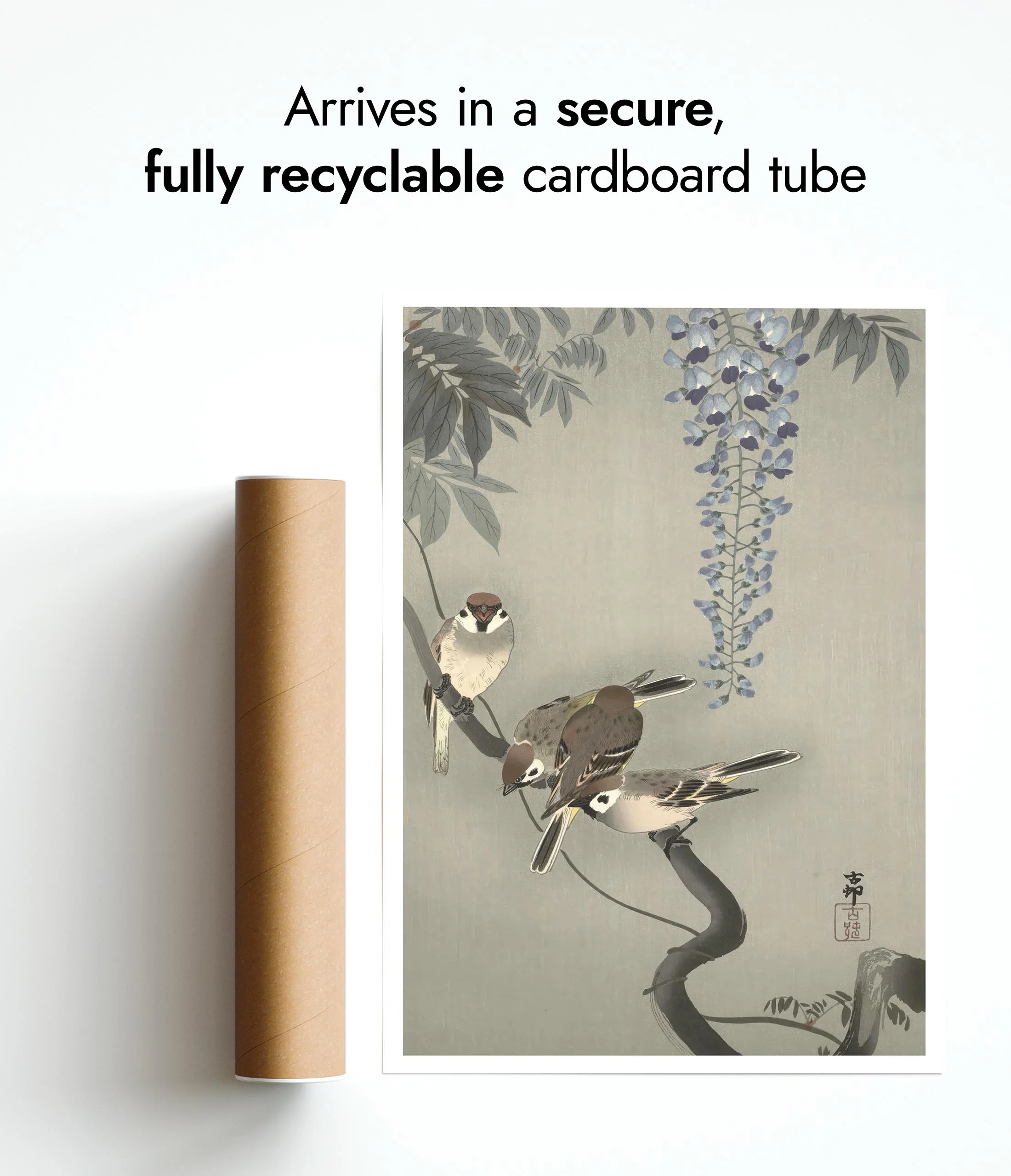 Tree Sparrows near Wisteria - Image 9