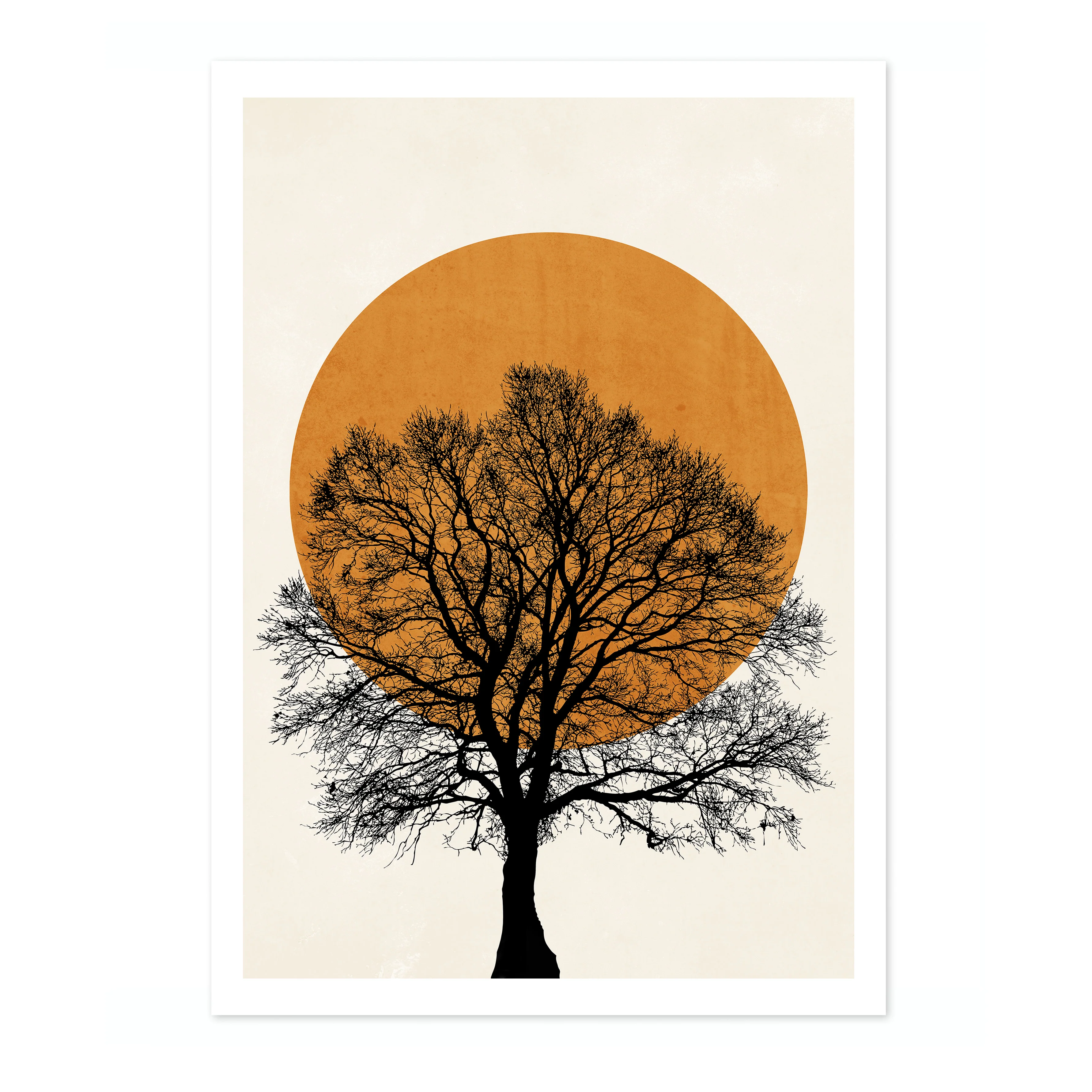 Tree Sun - Image 4