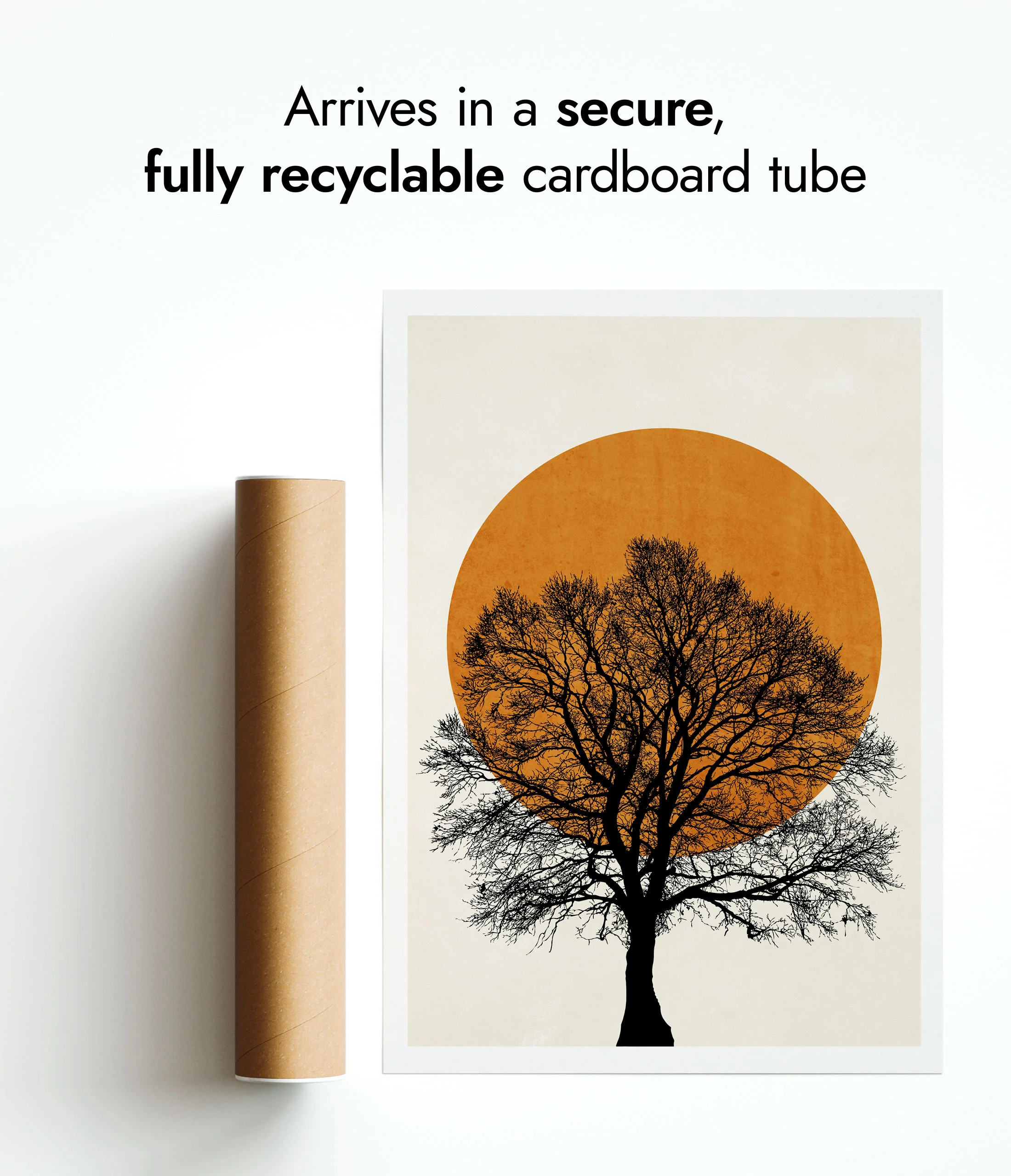 Tree Sun - Image 9