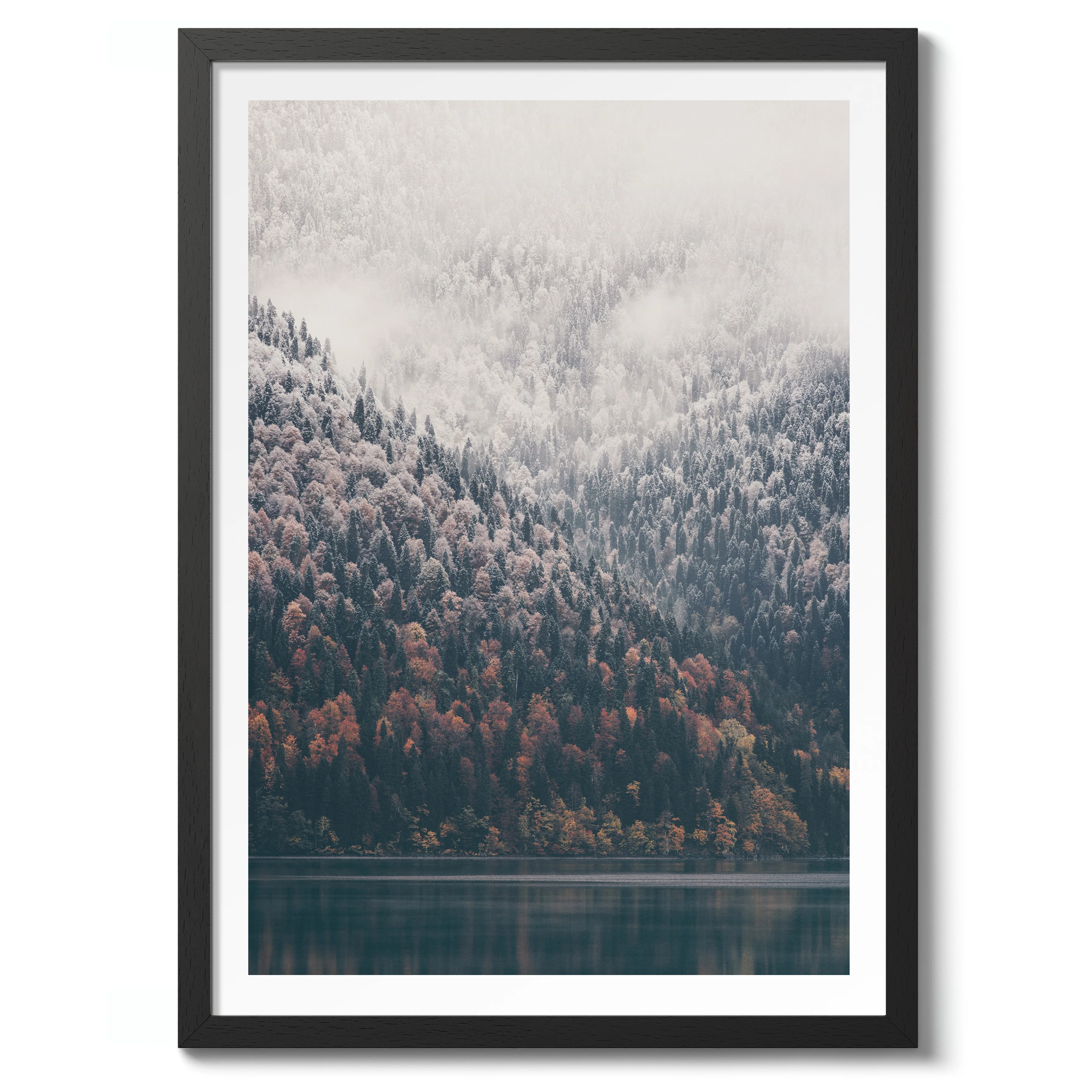 Trees and Lake - Image 2