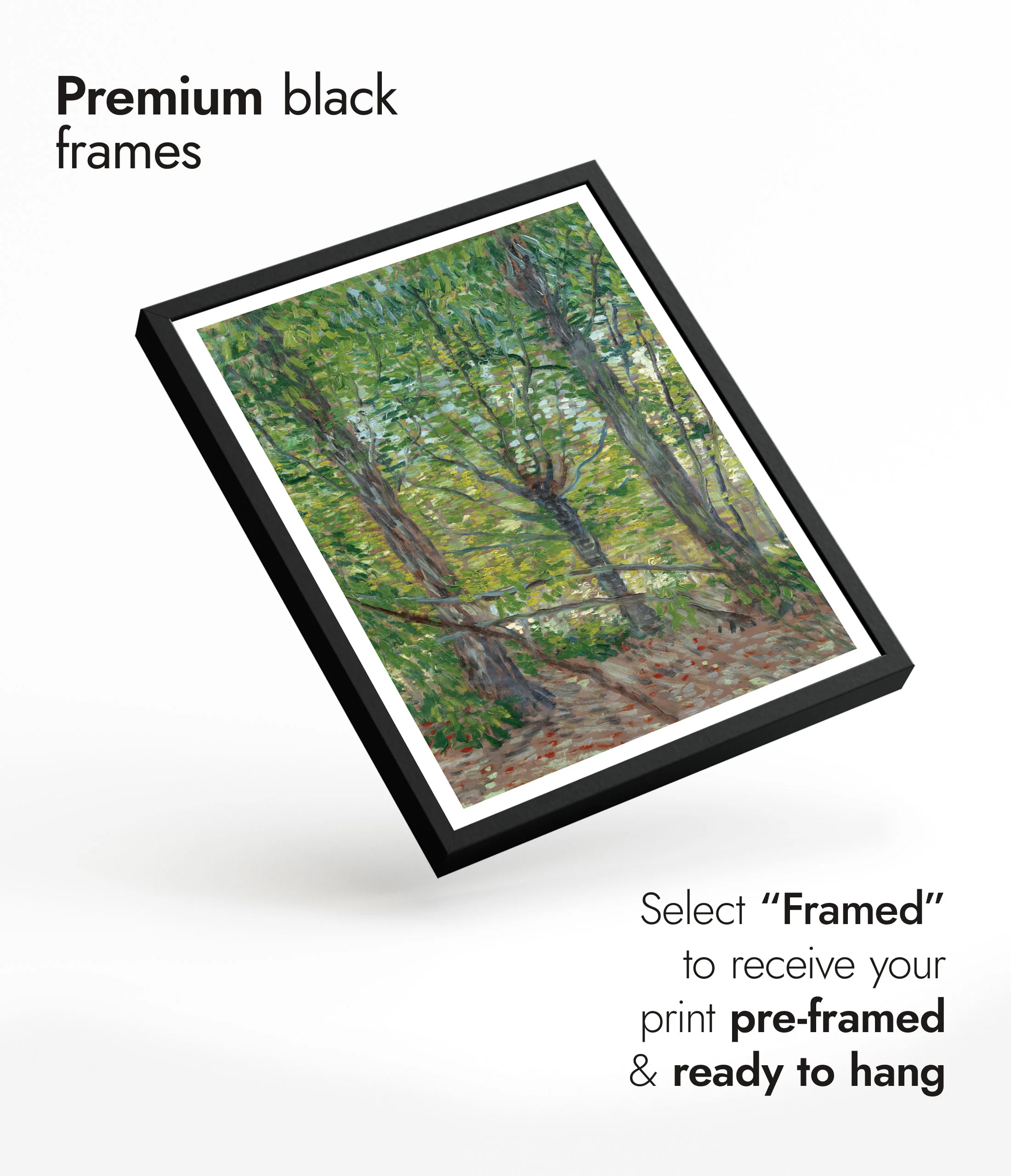 Trees - Image 7