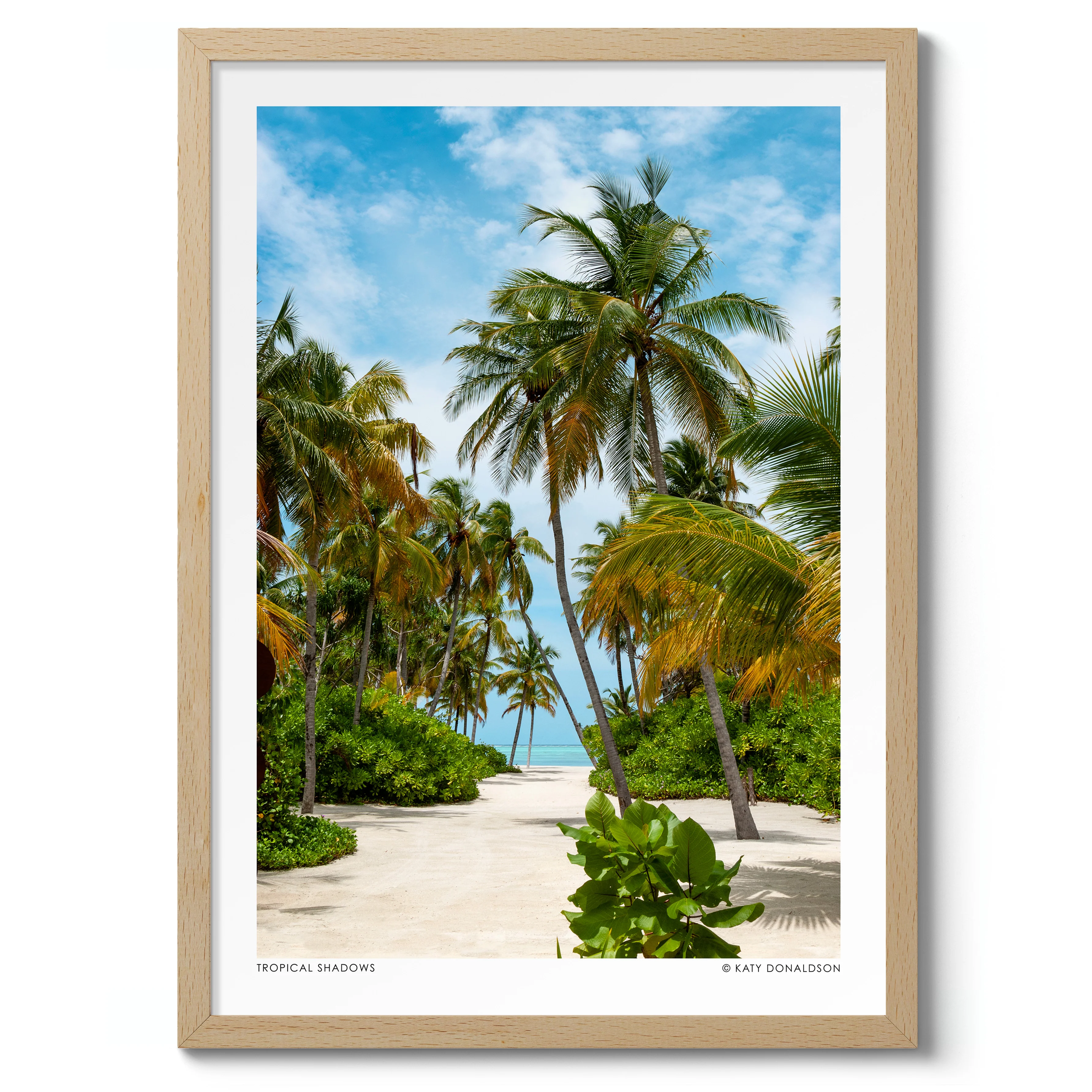 Tropical Shadows - Image 3