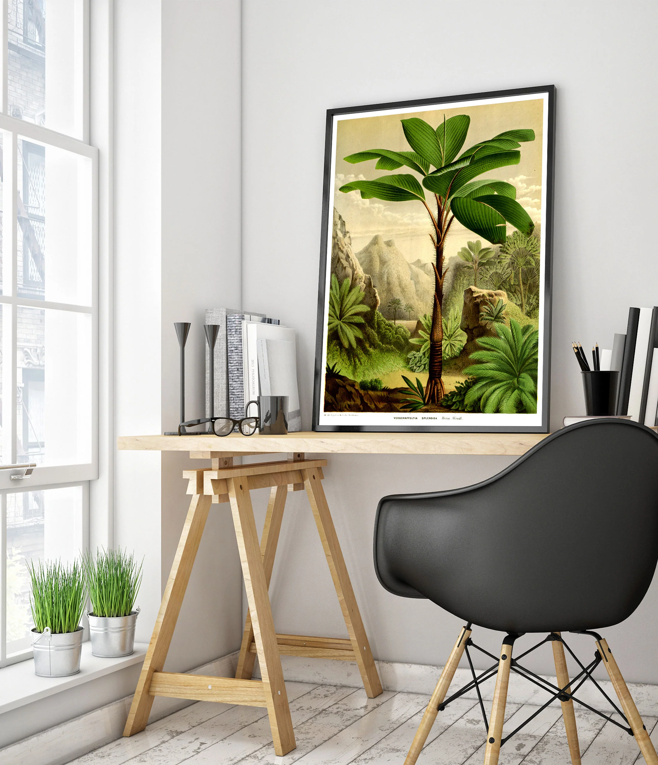 Tropical Tree - Image 5