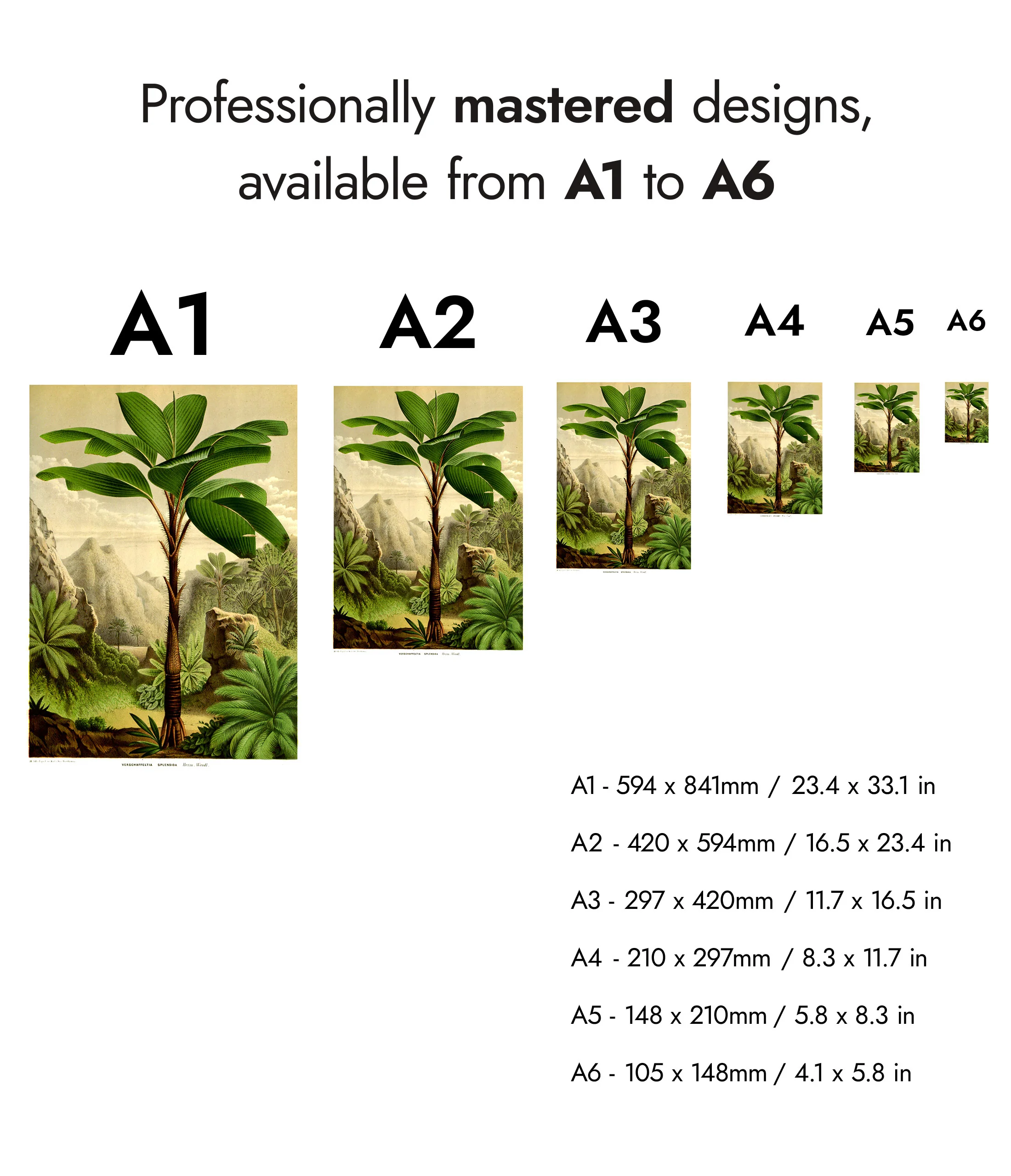 Tropical Tree - Image 8