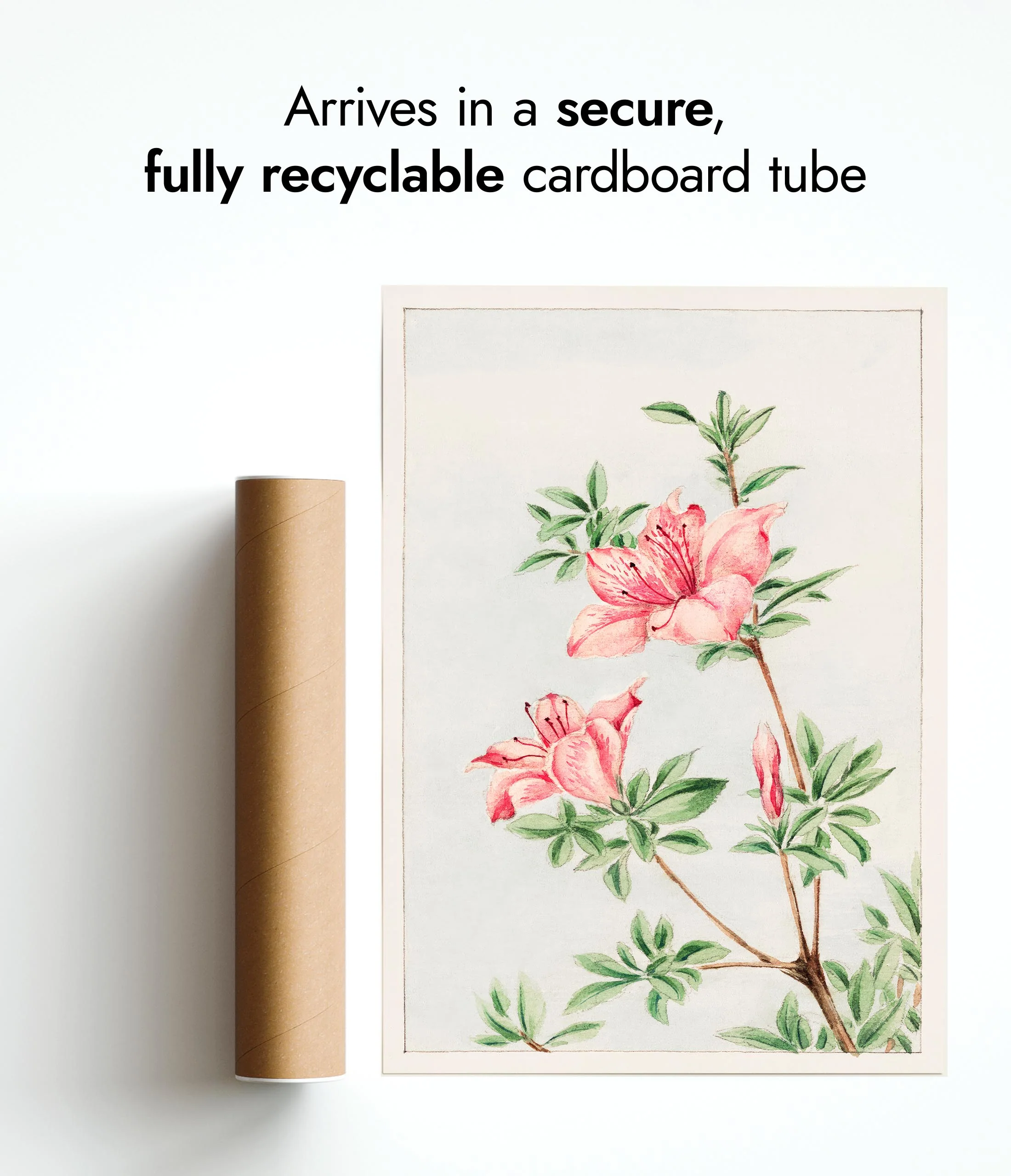 Tsutsuji Rhododendron Judicum (Azalea) - Image 9