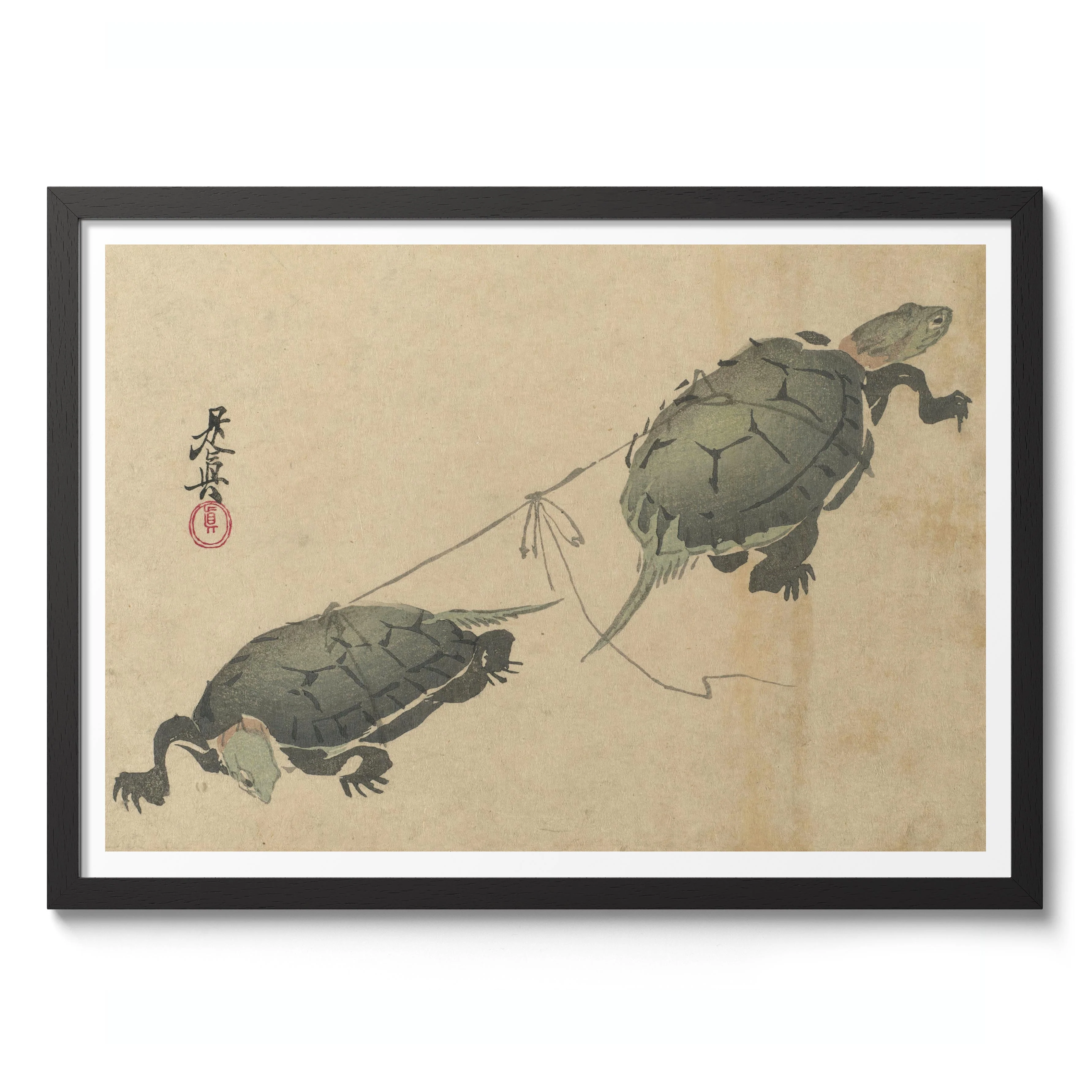 Tug-of-War Turtles - Image 2