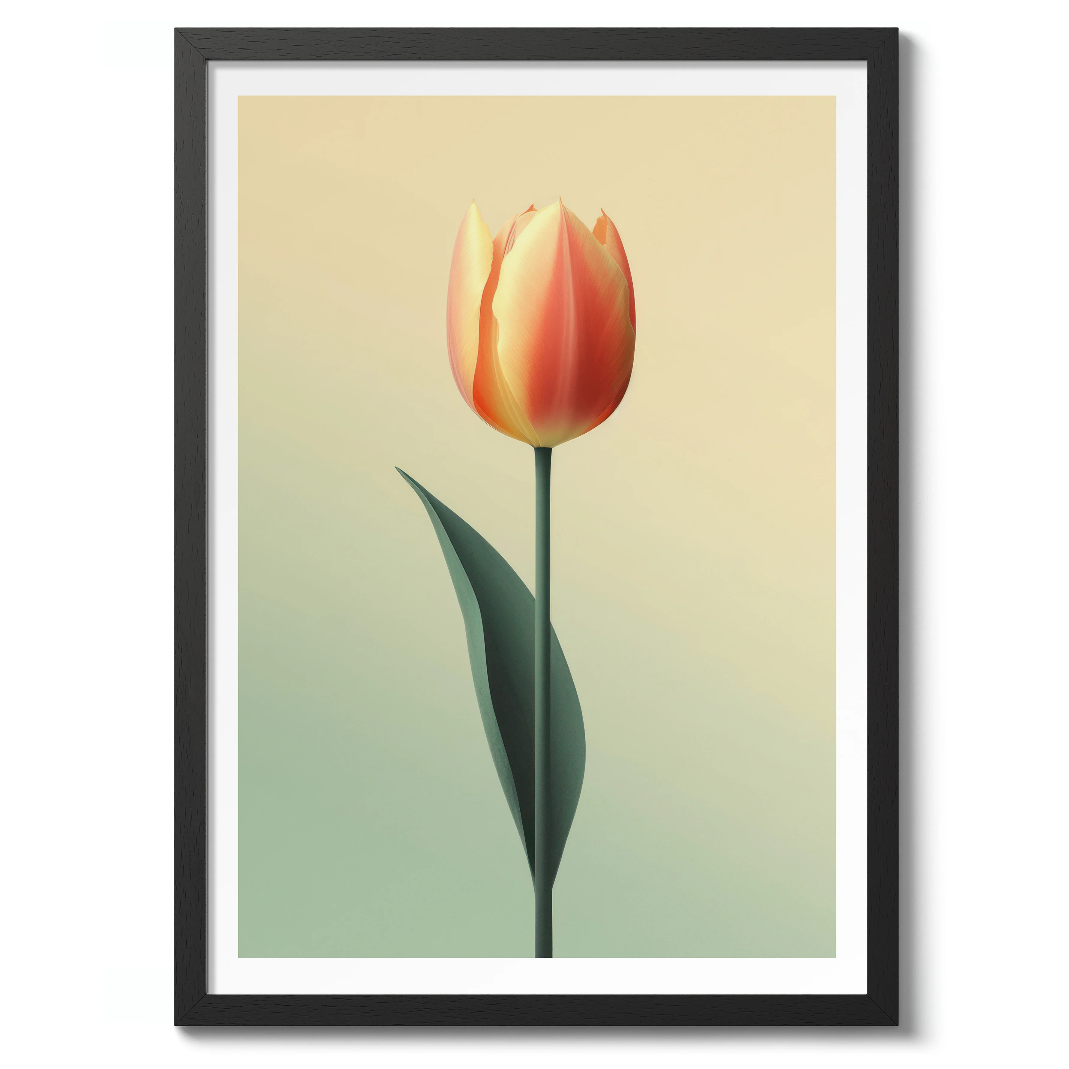 Tulip - Image 2