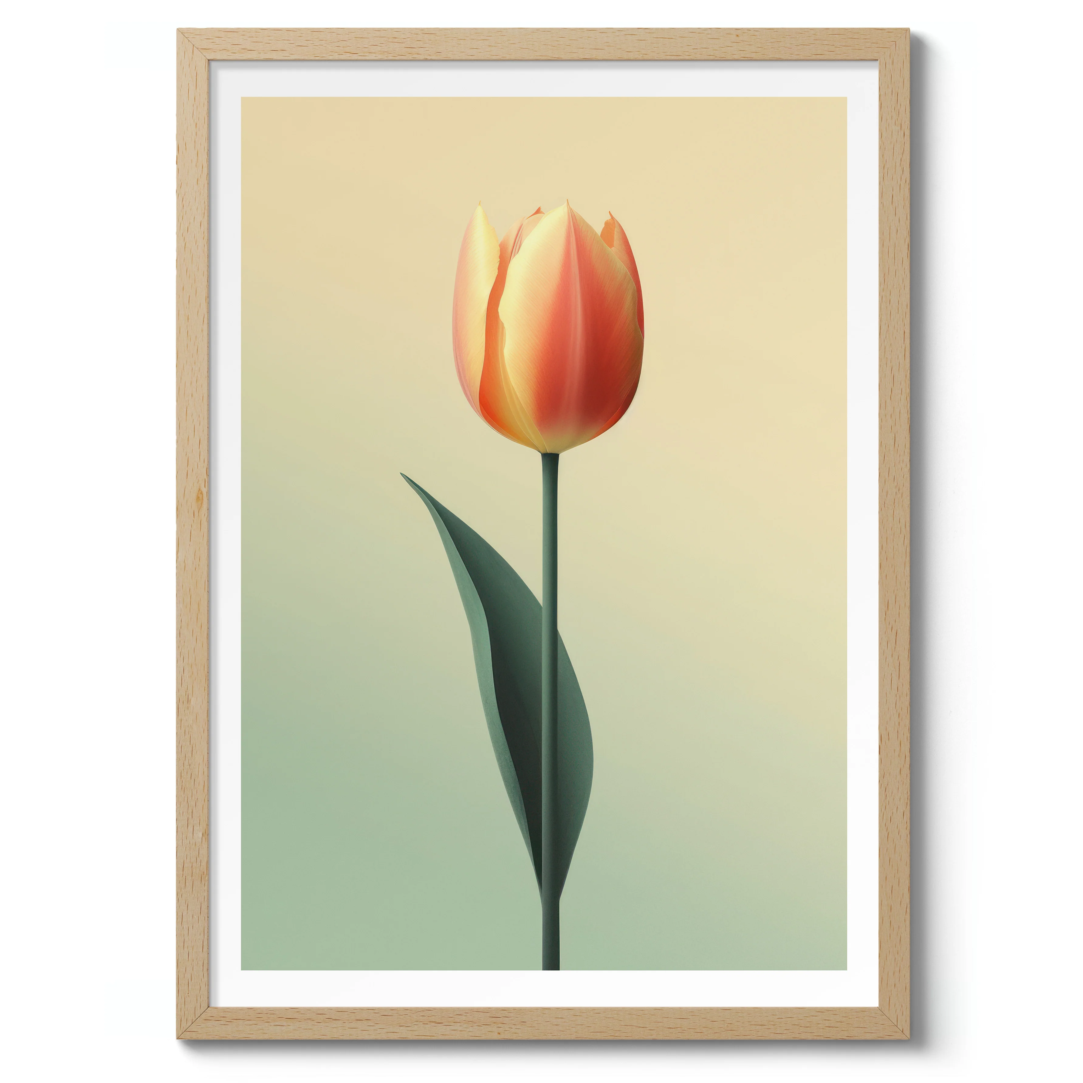 Tulip - Image 3