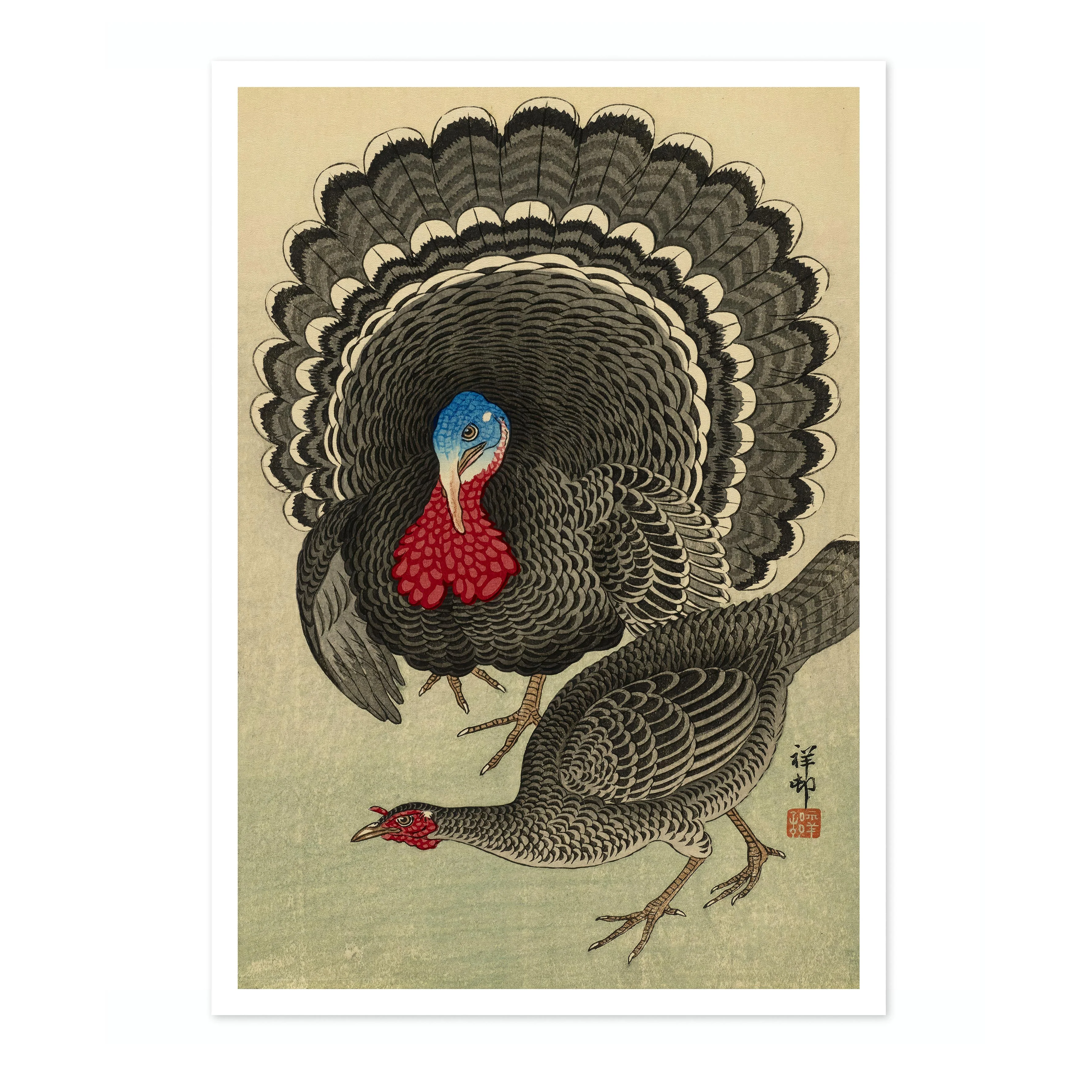 Turkey & Hen - Image 4