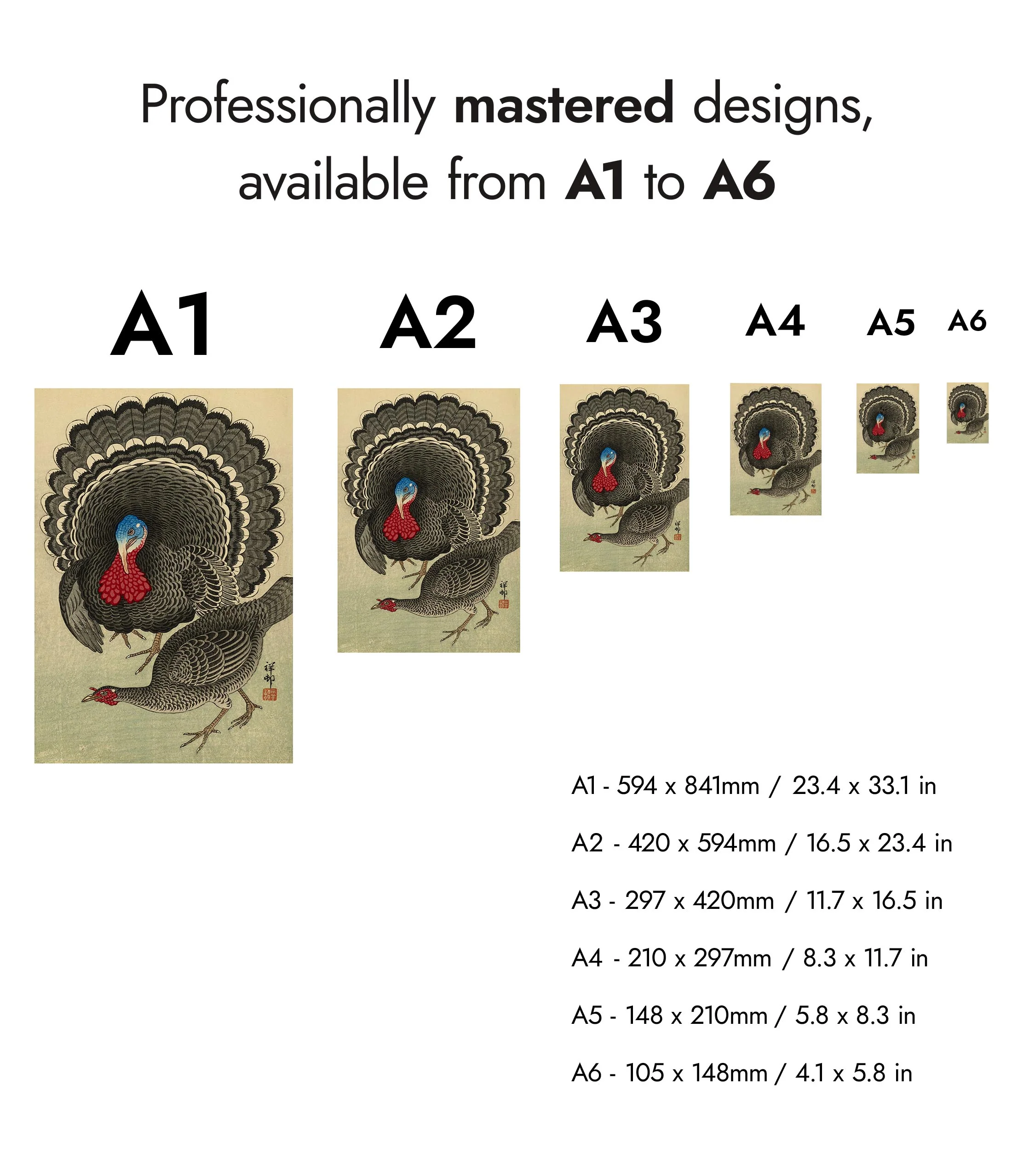 Turkey & Hen - Image 8
